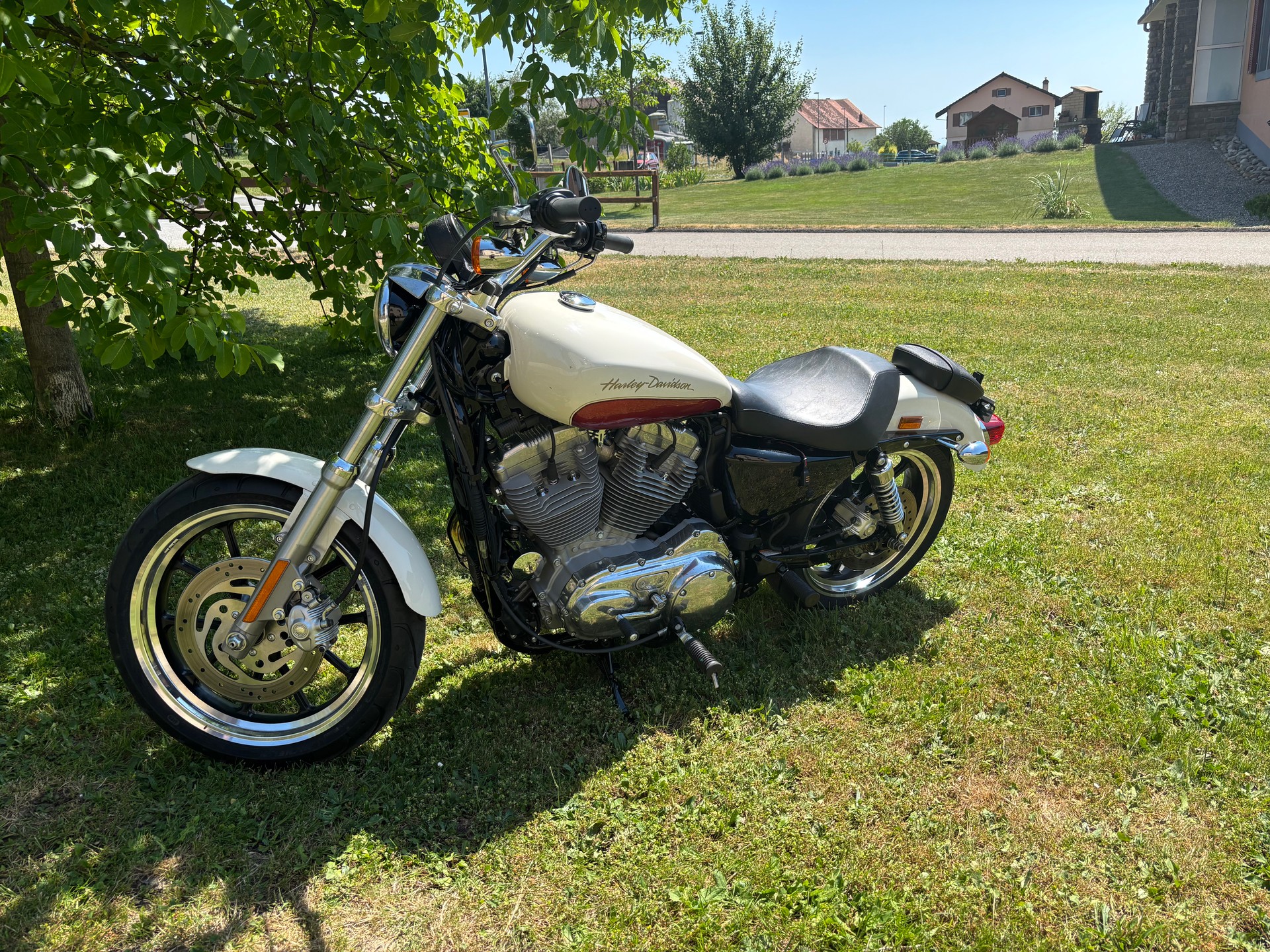 HARLEY-DAVIDSON XL 883 L Sportster Super Low-image-4