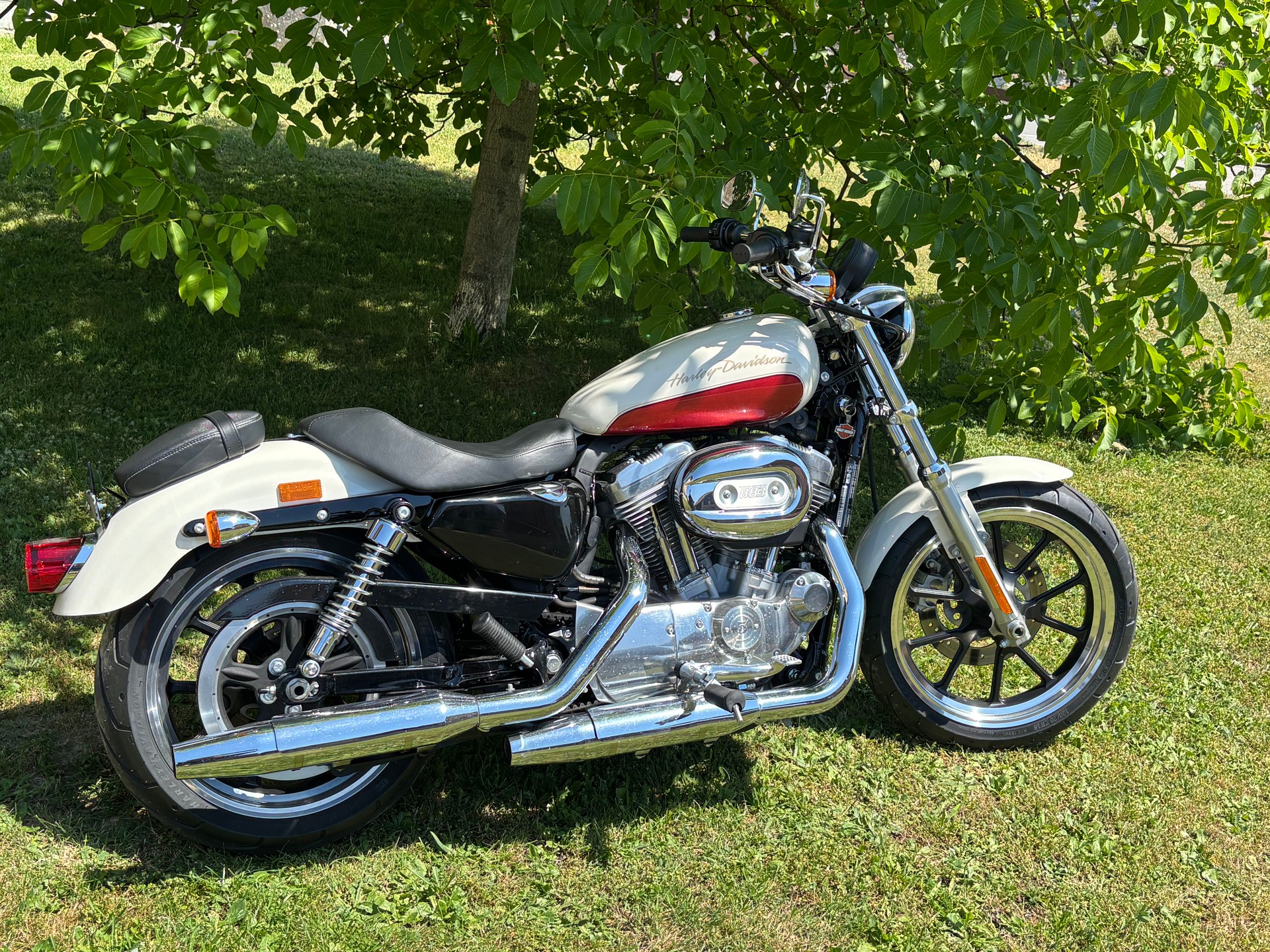HARLEY-DAVIDSON XL 883 L Sportster Super Low-image-0