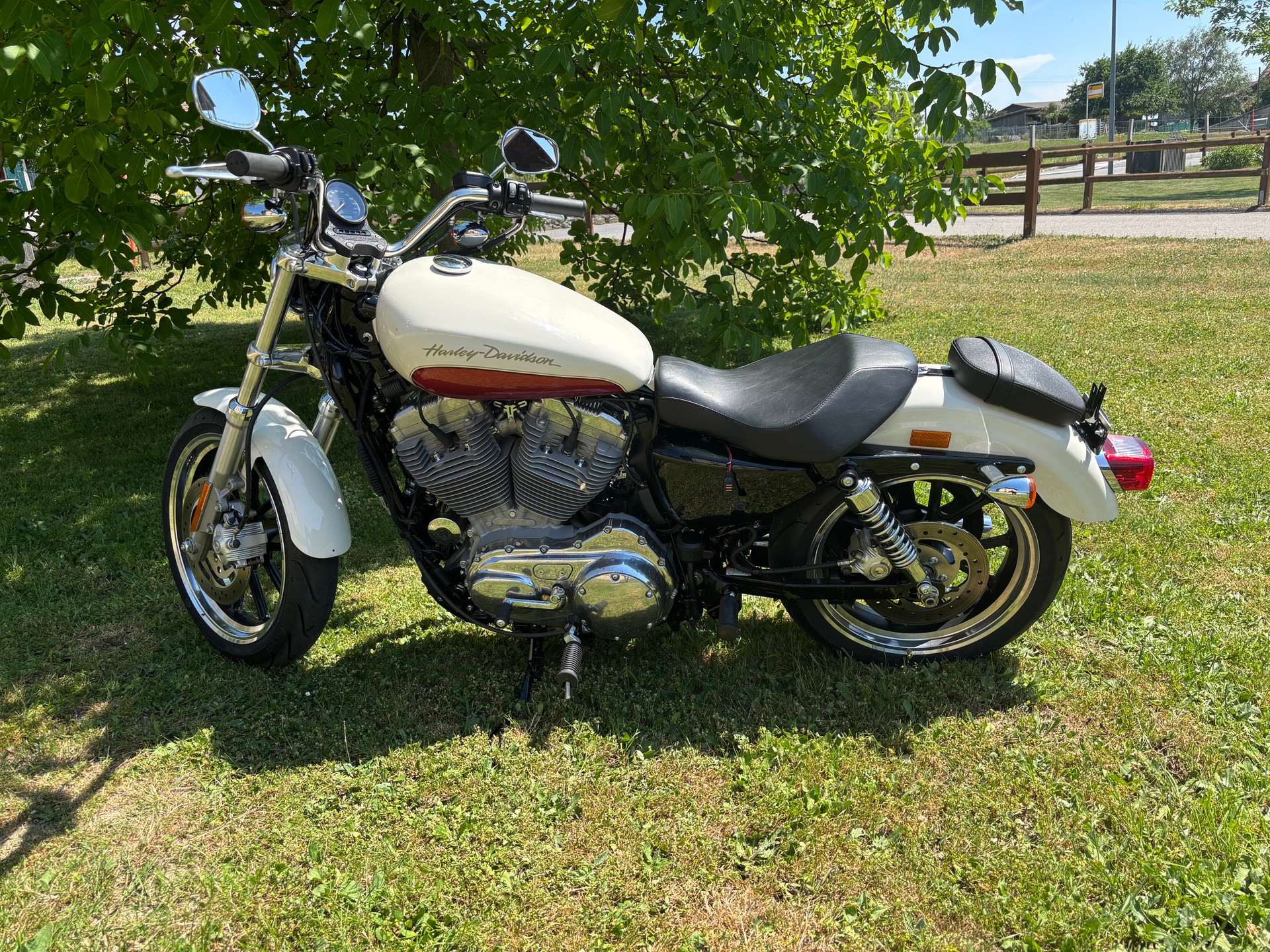 HARLEY-DAVIDSON XL 883 L Sportster Super Low-image-5