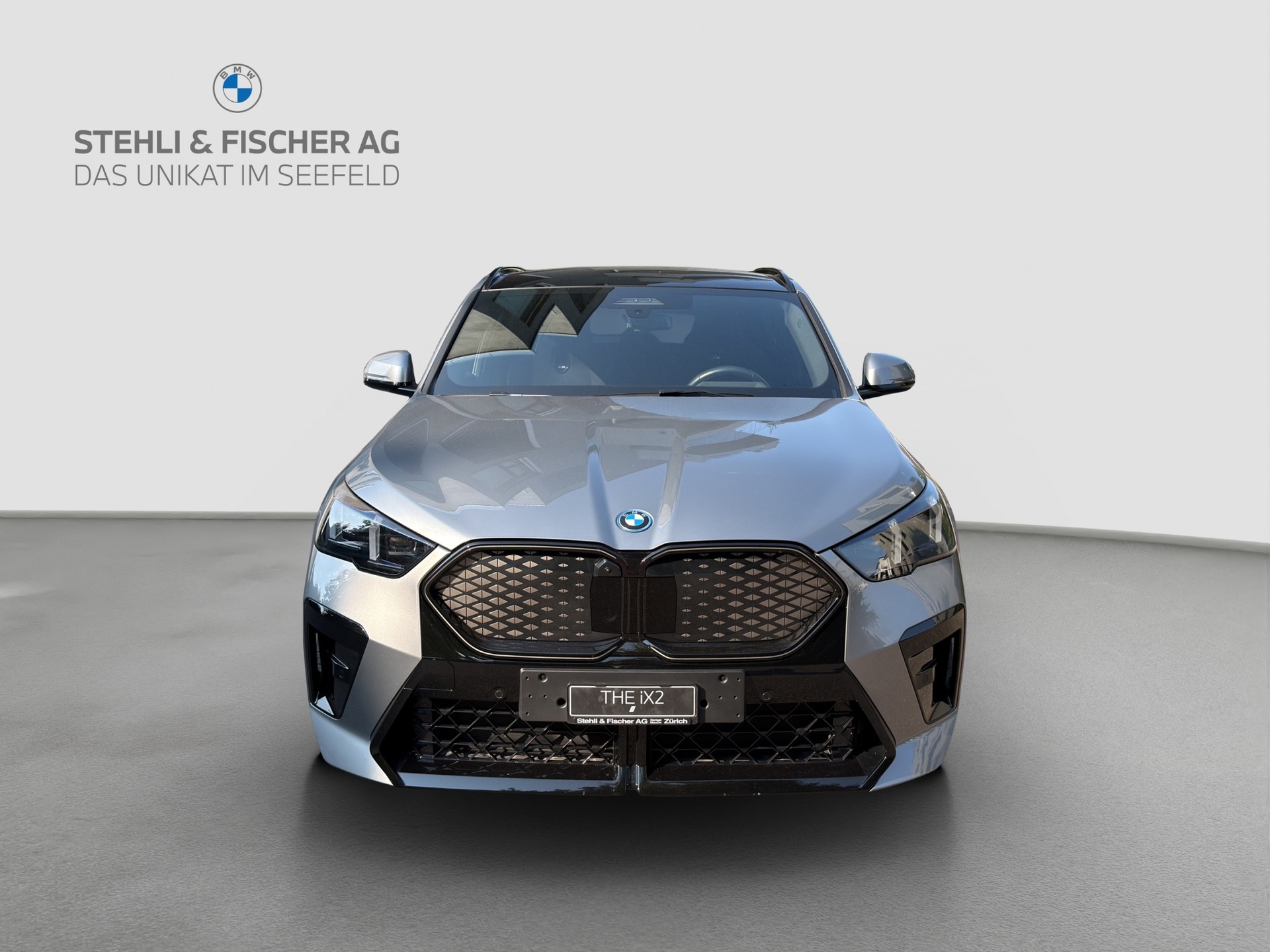 BMW iX2 xDrive 30 M Sport Pro-showroom-element-1