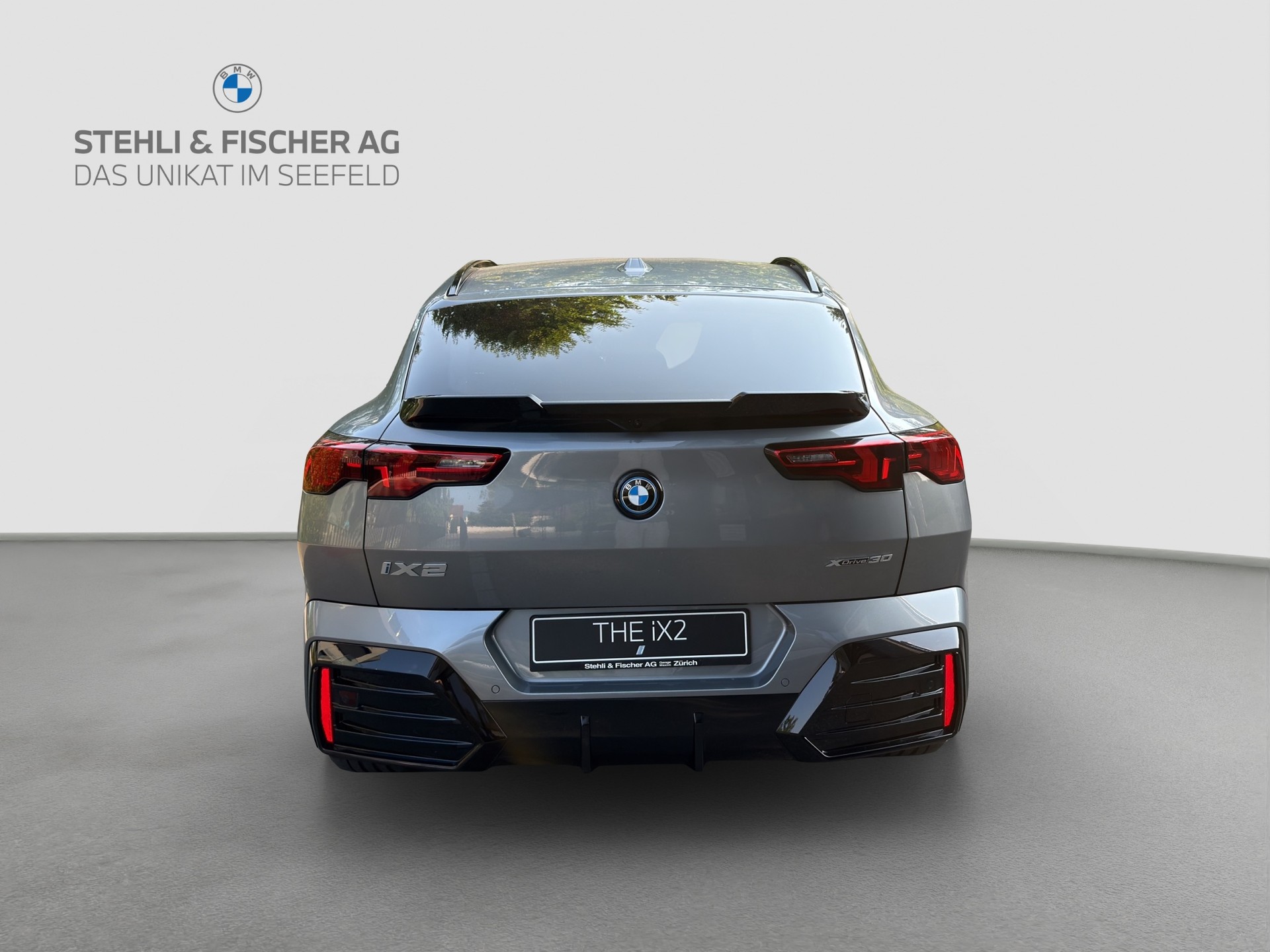 BMW iX2 xDrive 30 M Sport Pro-showroom-element-3