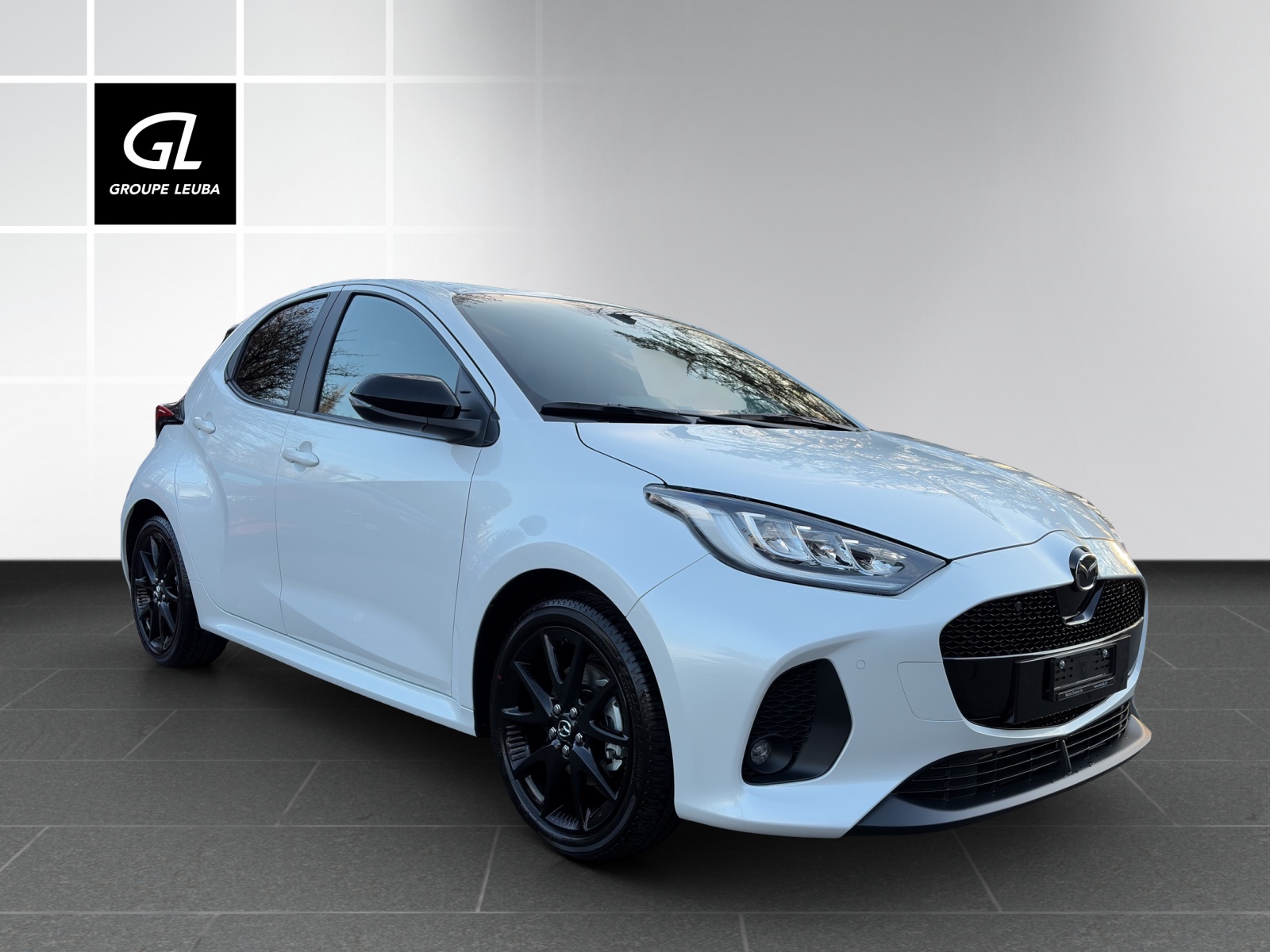MAZDA 2 Hybrid Homura