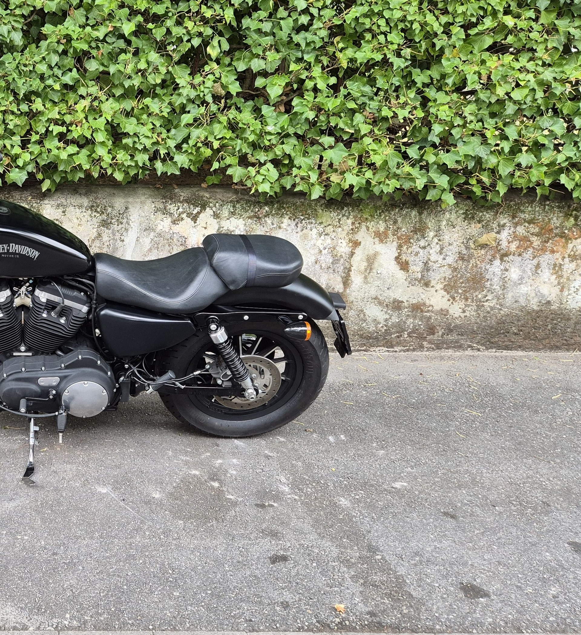 HARLEY-DAVIDSON XL 883 N Sportster Iron ABS-image-10