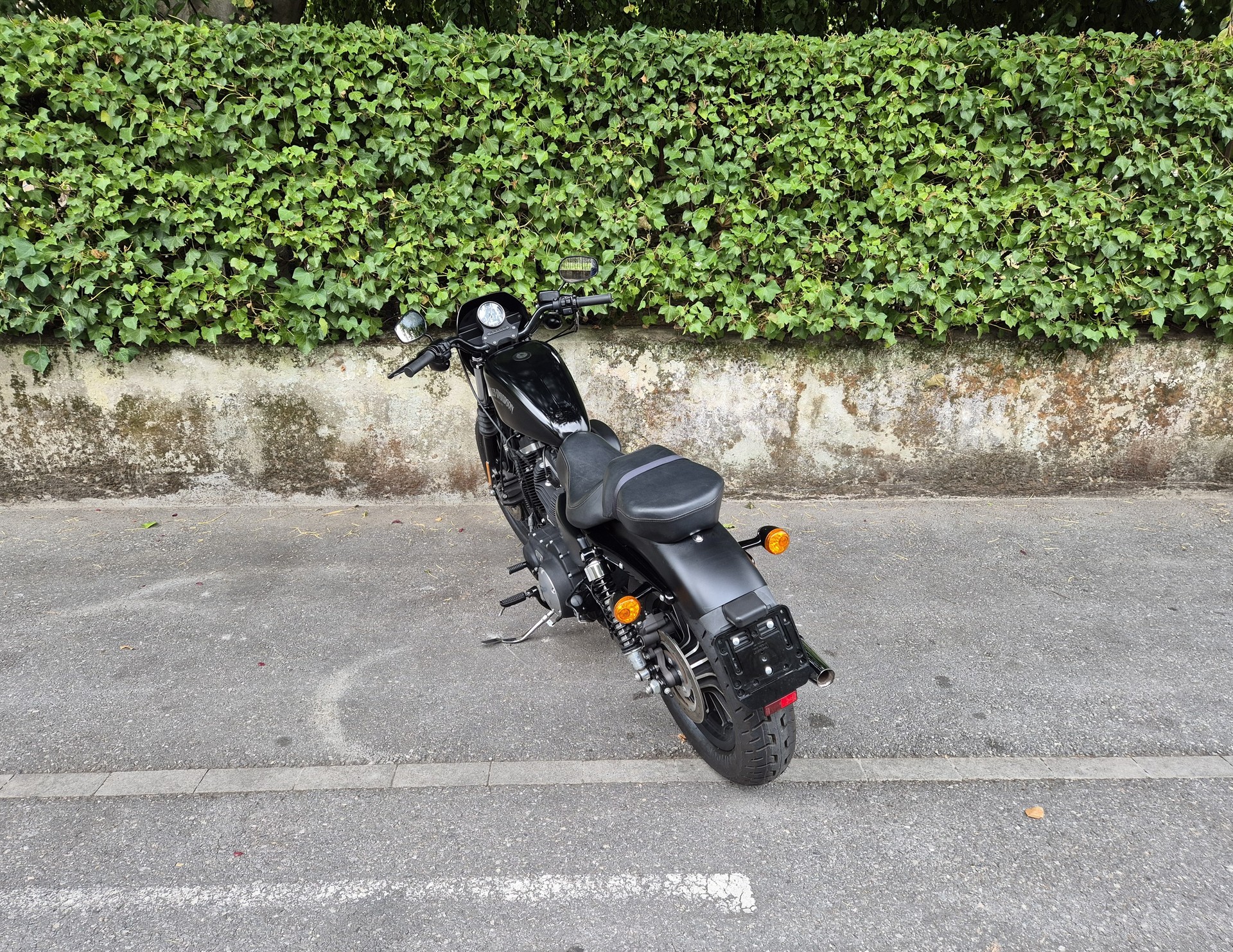 HARLEY-DAVIDSON XL 883 N Sportster Iron ABS-image-2