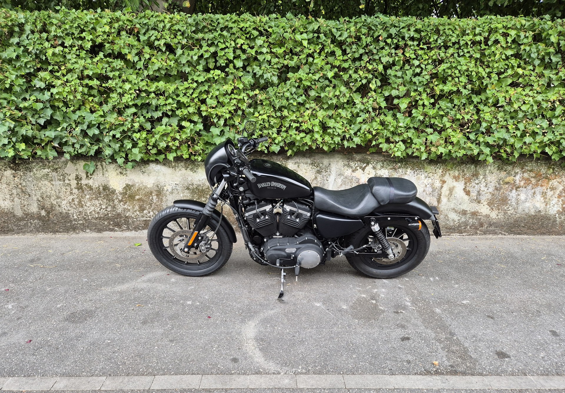 HARLEY-DAVIDSON XL 883 N Sportster Iron ABS-image-3
