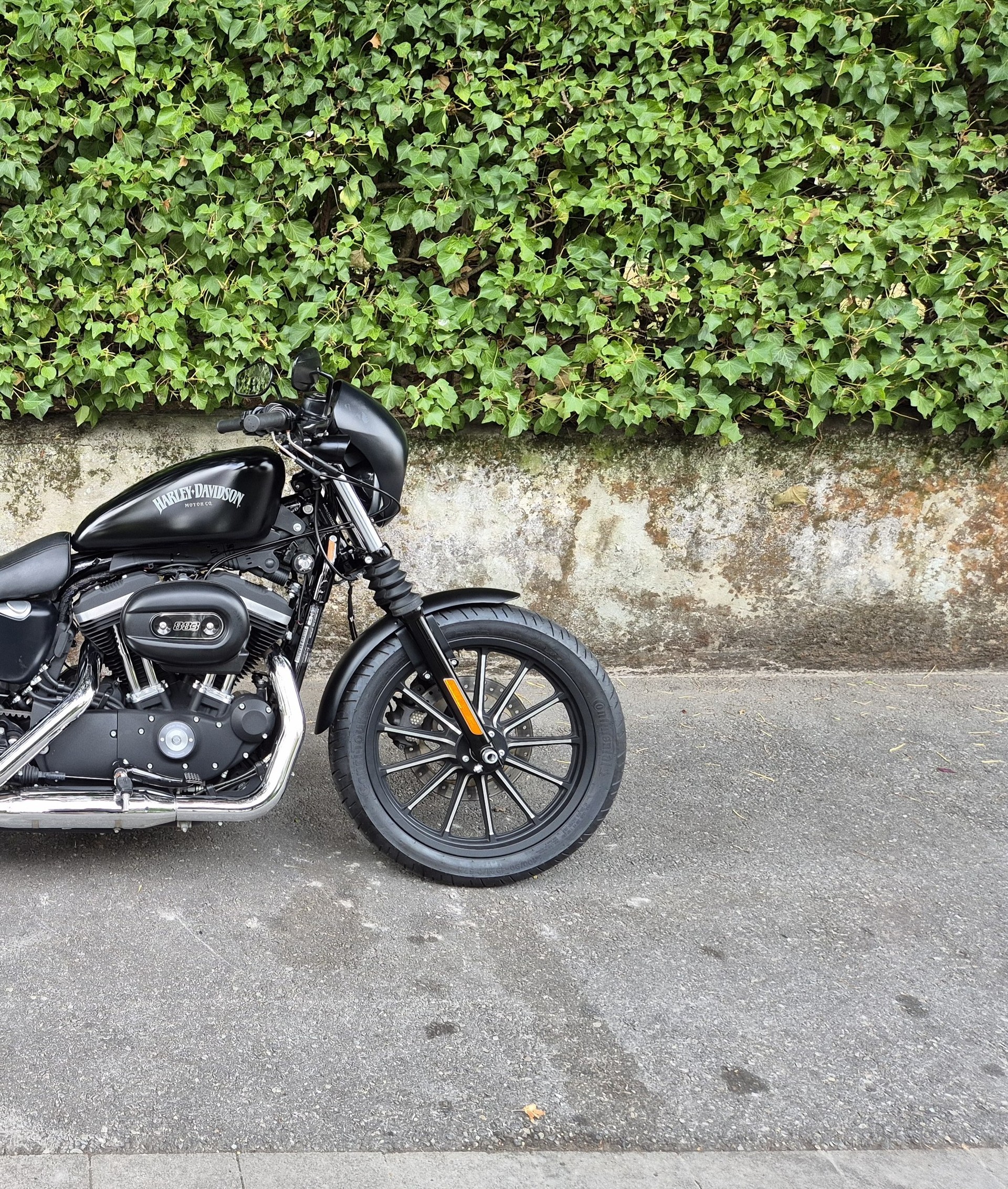 HARLEY-DAVIDSON XL 883 N Sportster Iron ABS-image-11