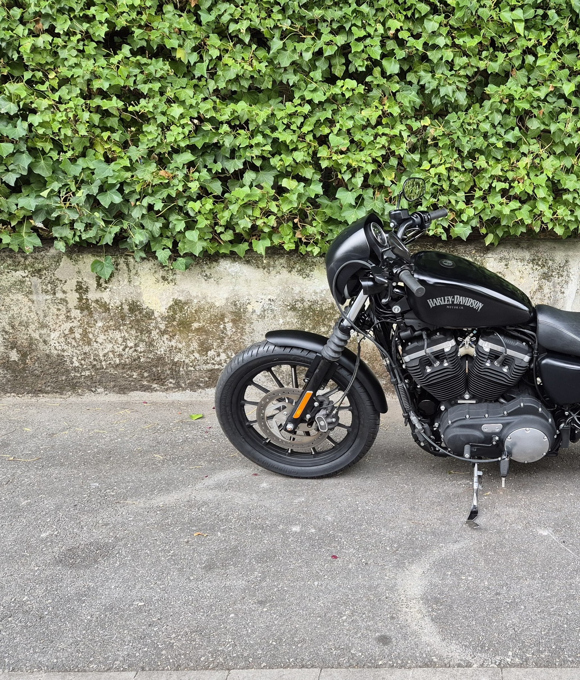 HARLEY-DAVIDSON XL 883 N Sportster Iron ABS-image-9
