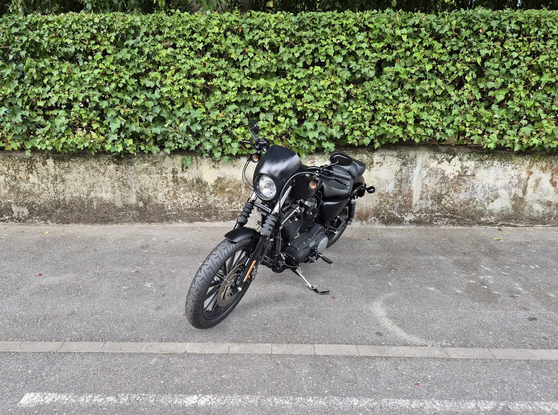 HARLEY-DAVIDSON XL 883 N Sportster Iron ABS-image-4