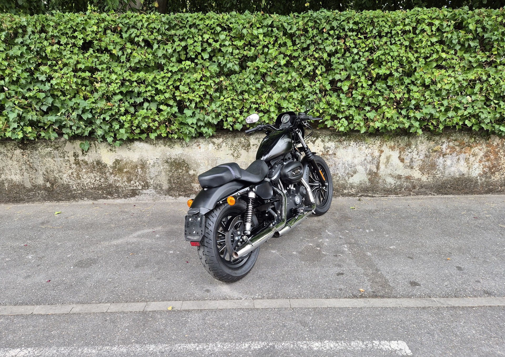 HARLEY-DAVIDSON XL 883 N Sportster Iron ABS-image-1