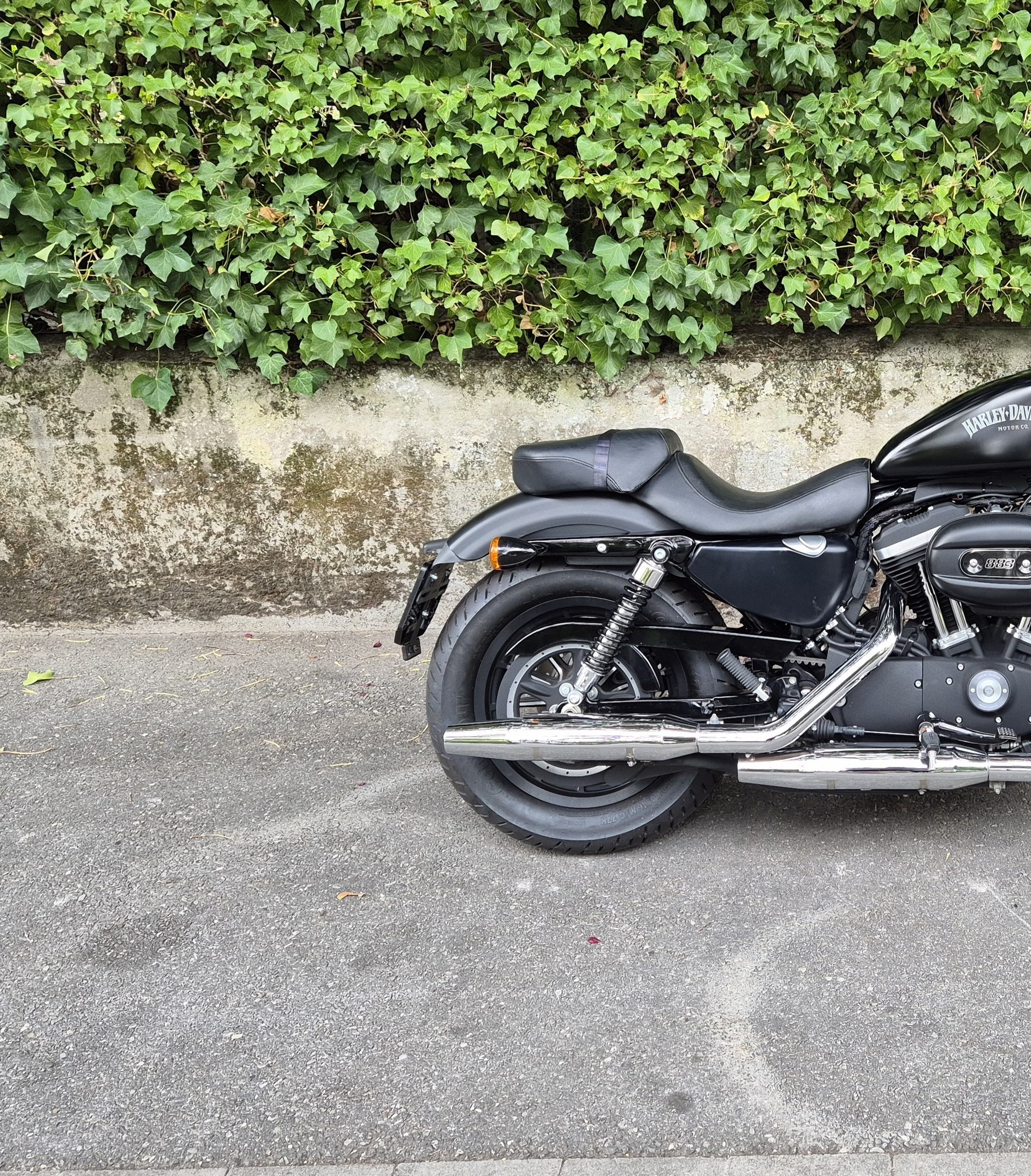HARLEY-DAVIDSON XL 883 N Sportster Iron ABS-image-12
