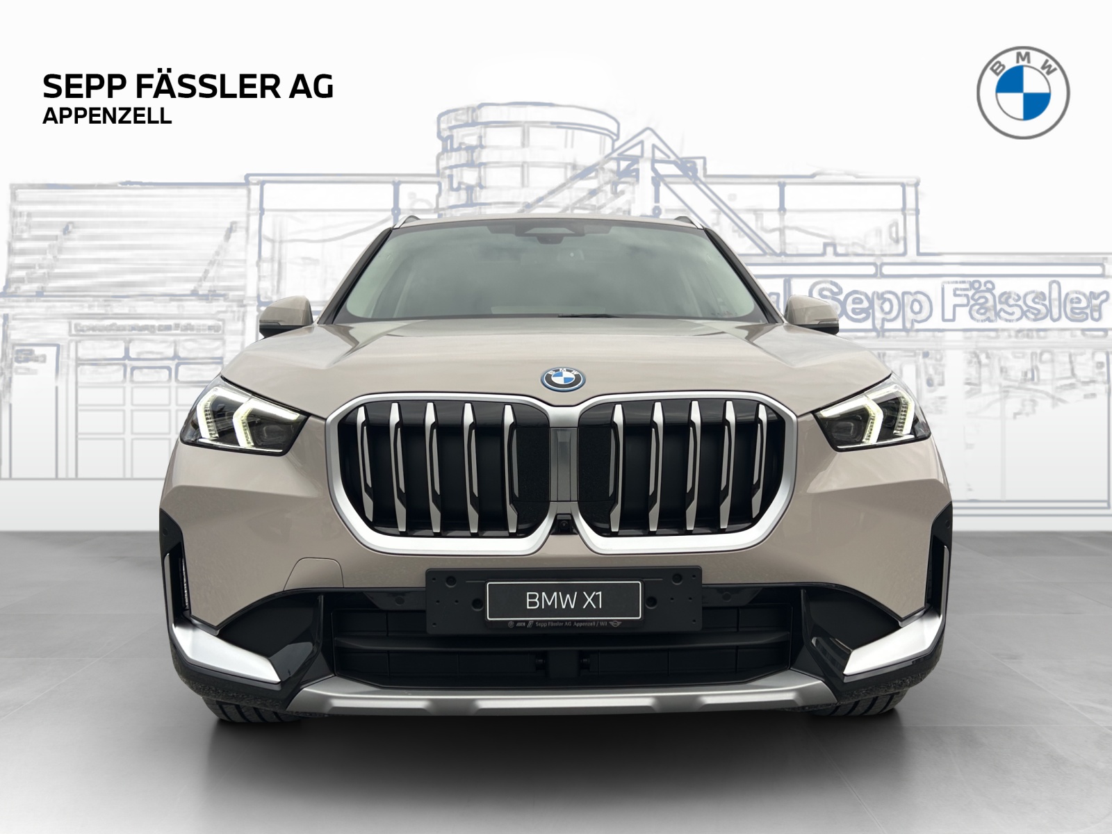 BMW X1 xDrive30e-image-7