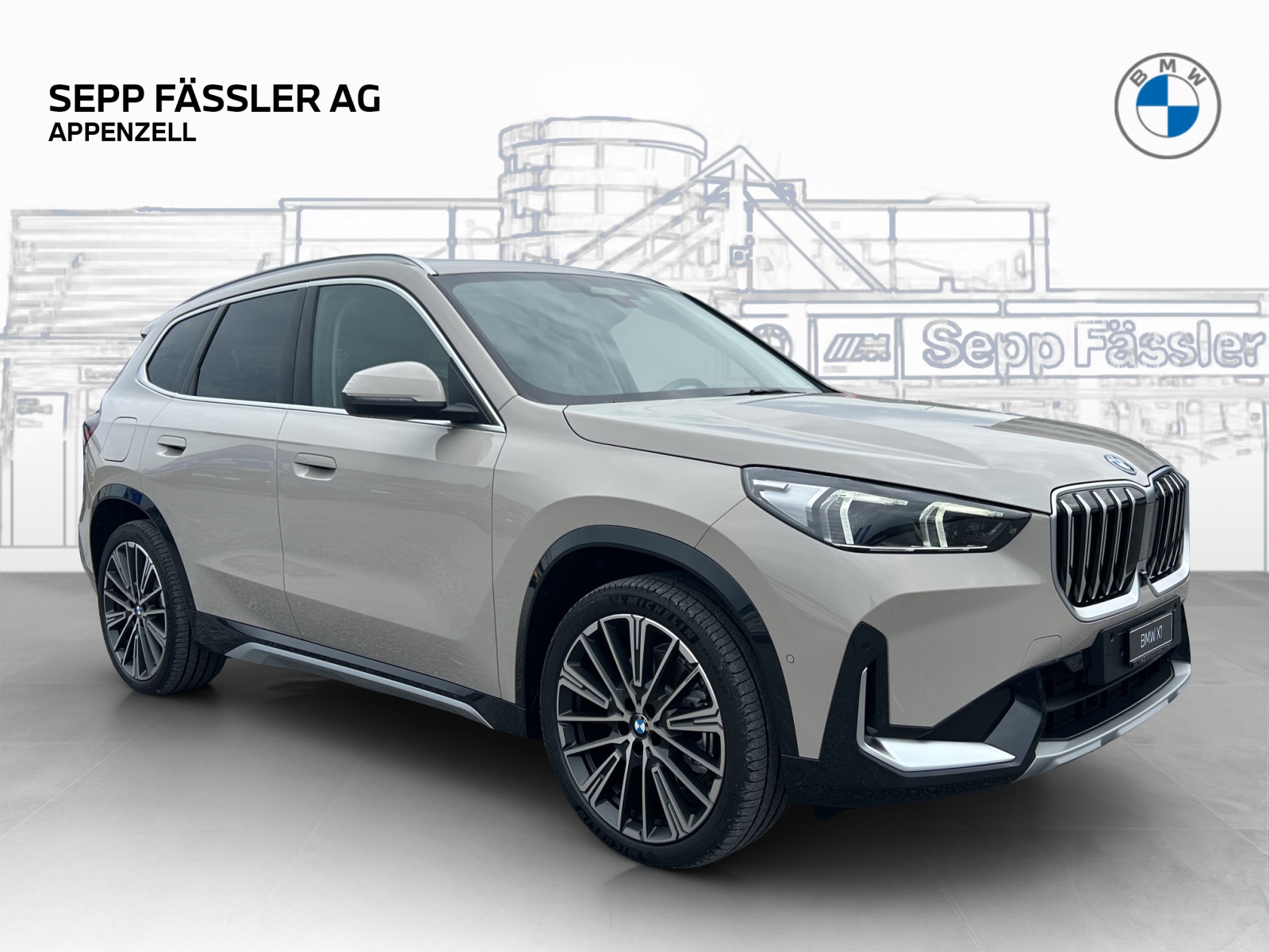 BMW X1 xDrive30e-image-6