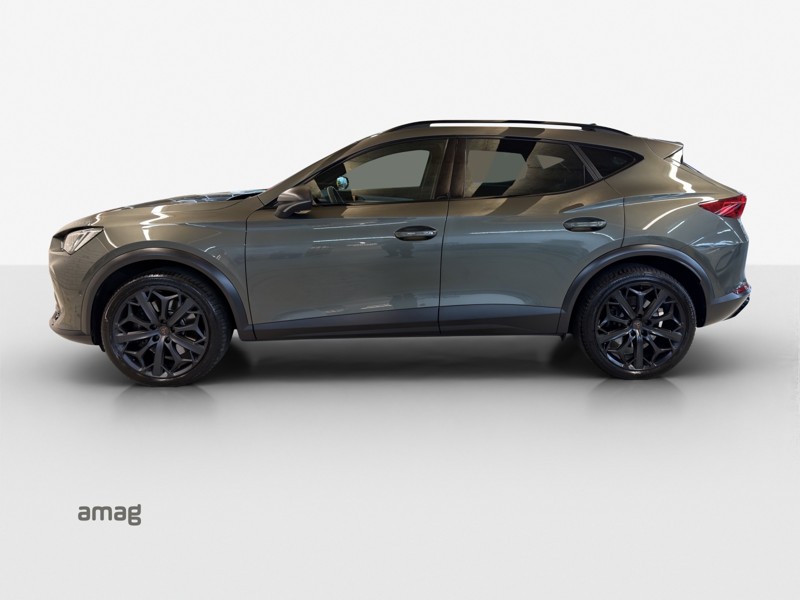 CUPRA Formentor 2.0TSI Tribe Edition 4Drive DSG-showroom-element-1