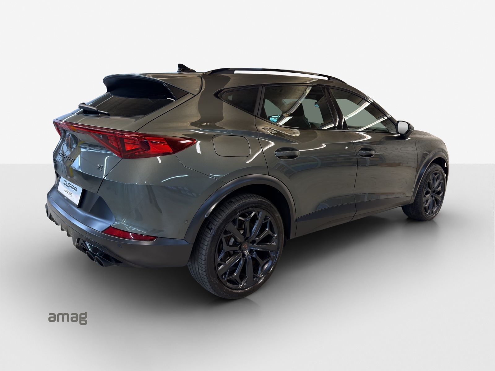 CUPRA Formentor 2.0TSI Tribe Edition 4Drive DSG-image-4
