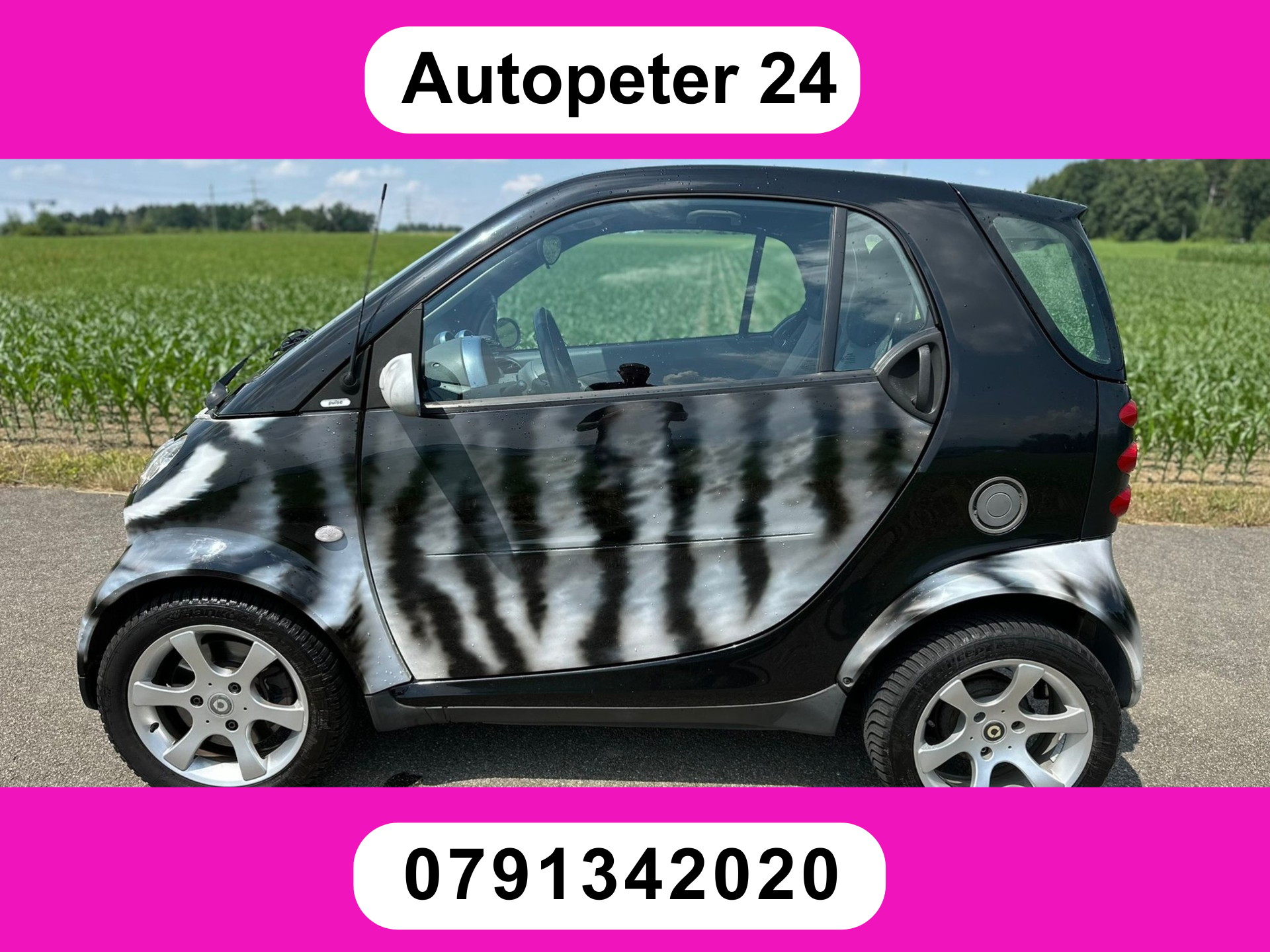 SMART fortwo passion