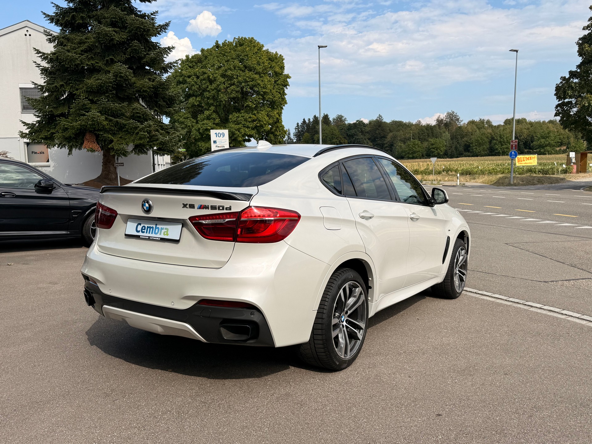 BMW X6 M50d Steptronic-showroom-element-1