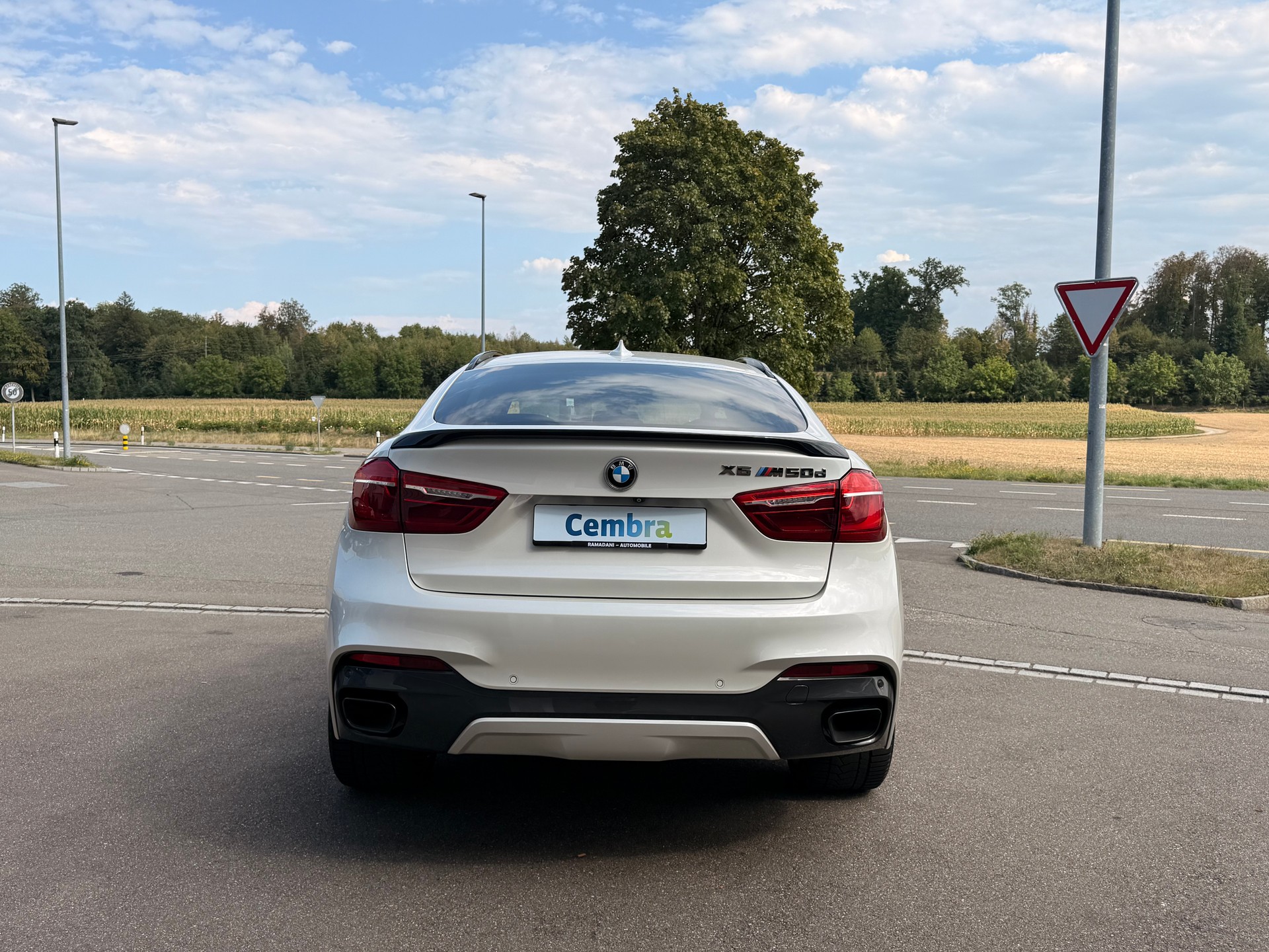 BMW X6 M50d Steptronic-showroom-element-2