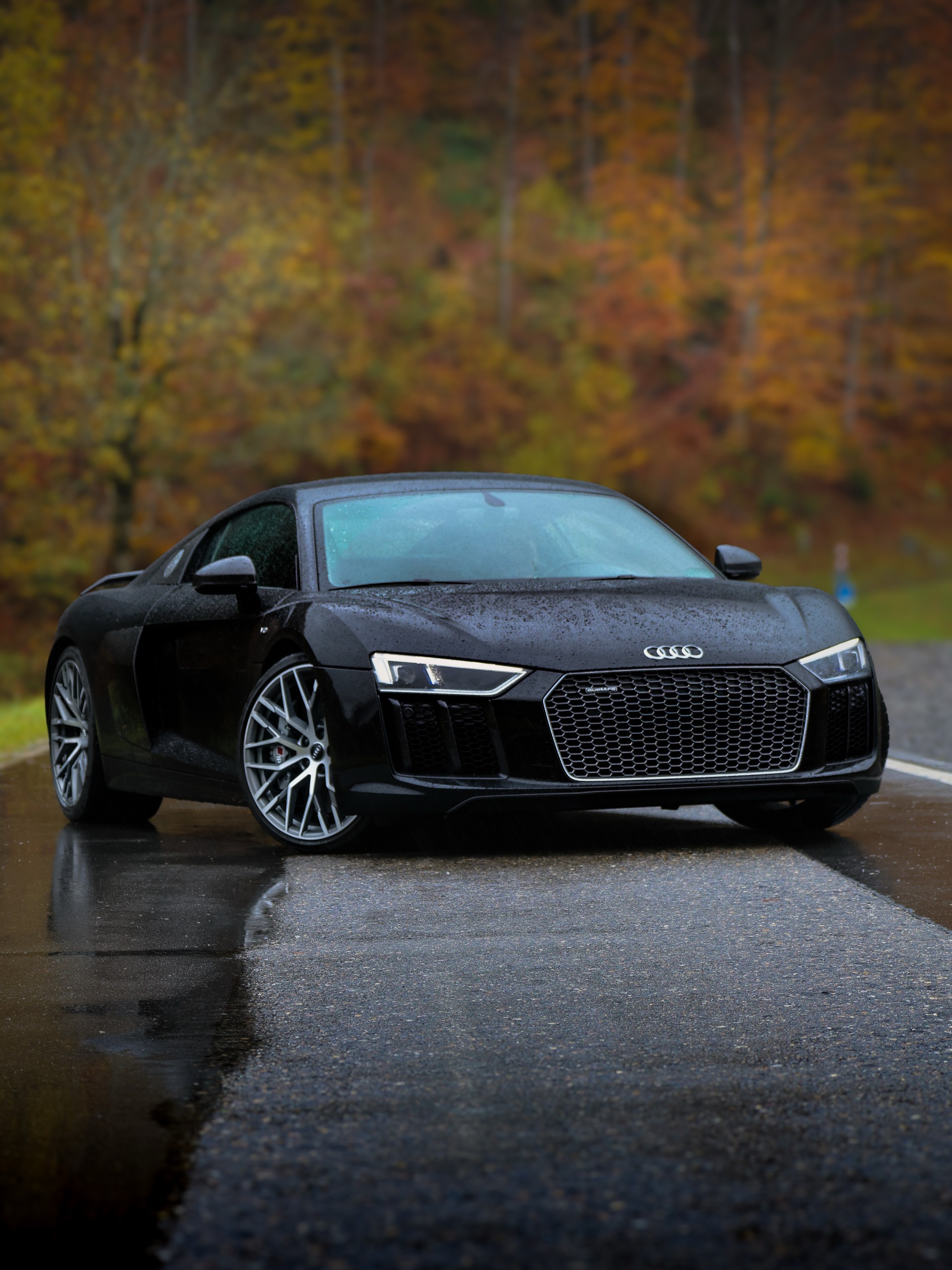 AUDI 5.2 FSI V10 plus quattro S-Tronic