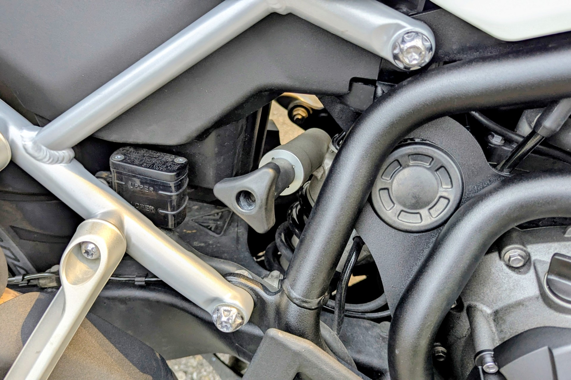 TRIUMPH Tiger 900 GT LOW-image-11