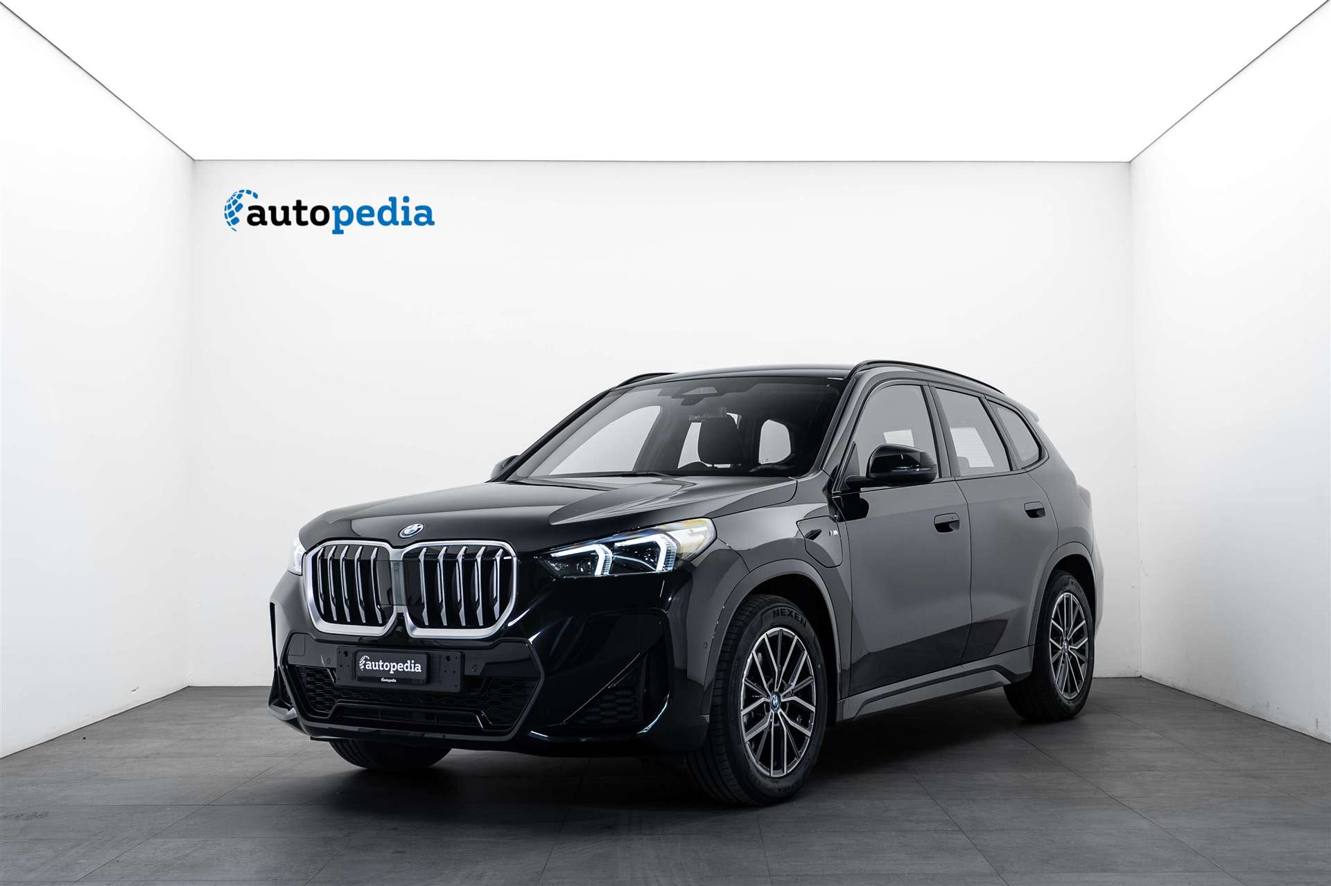 BMW X1 xDrive 25e M Sport 245PS Automat
