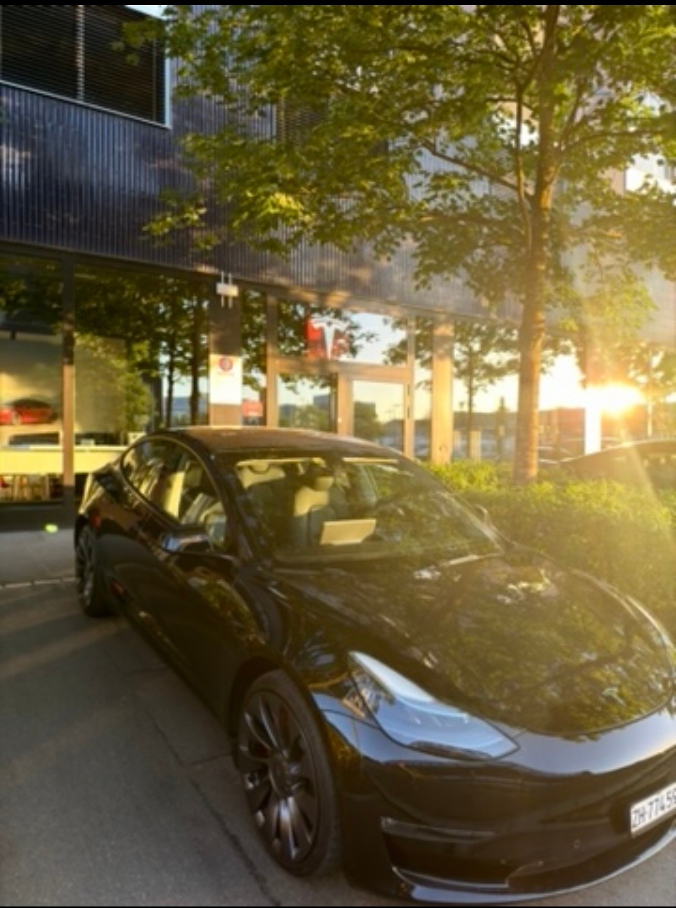 TESLA Performance D