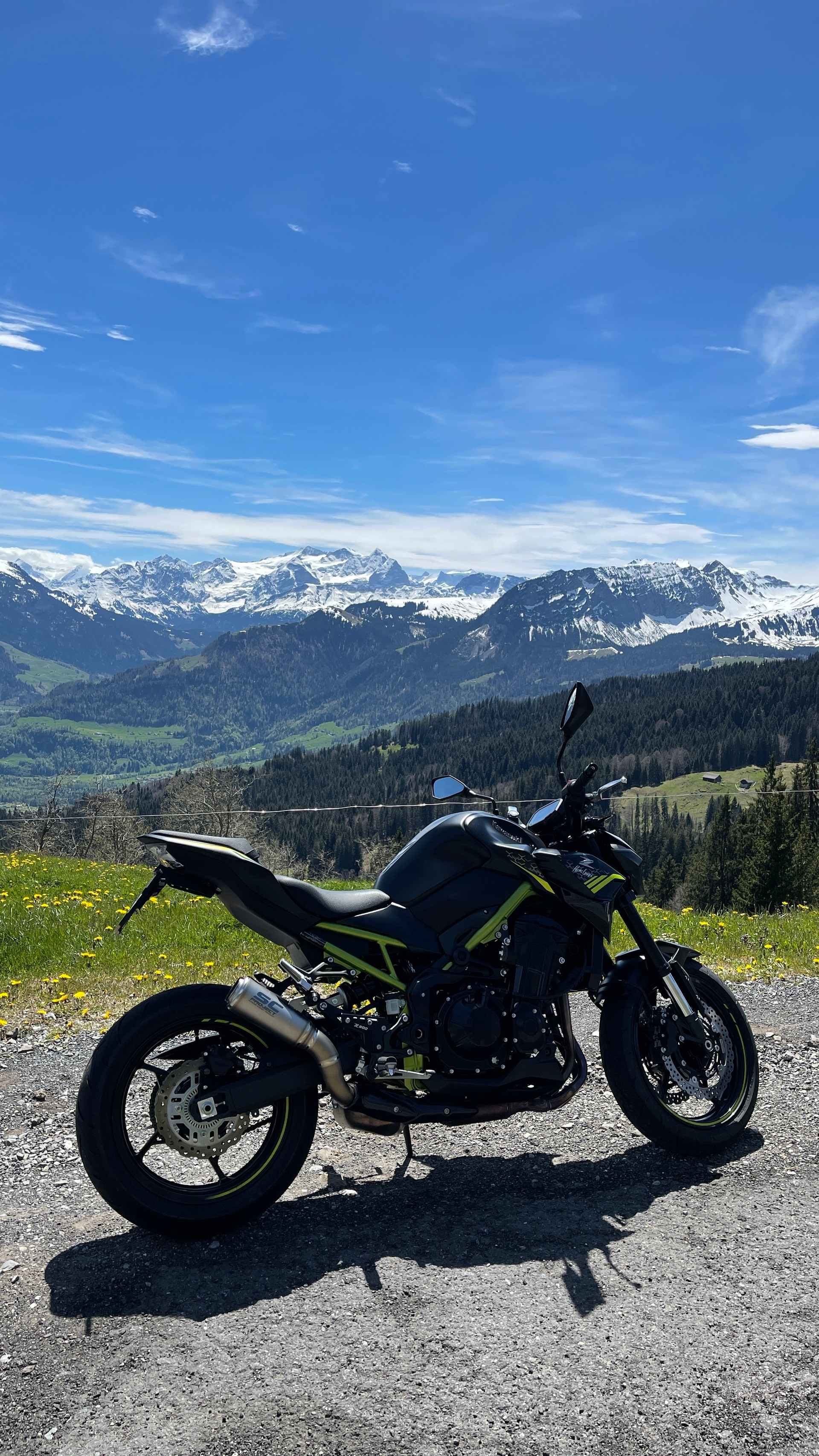 KAWASAKI Z 900 (70kW)-image-4
