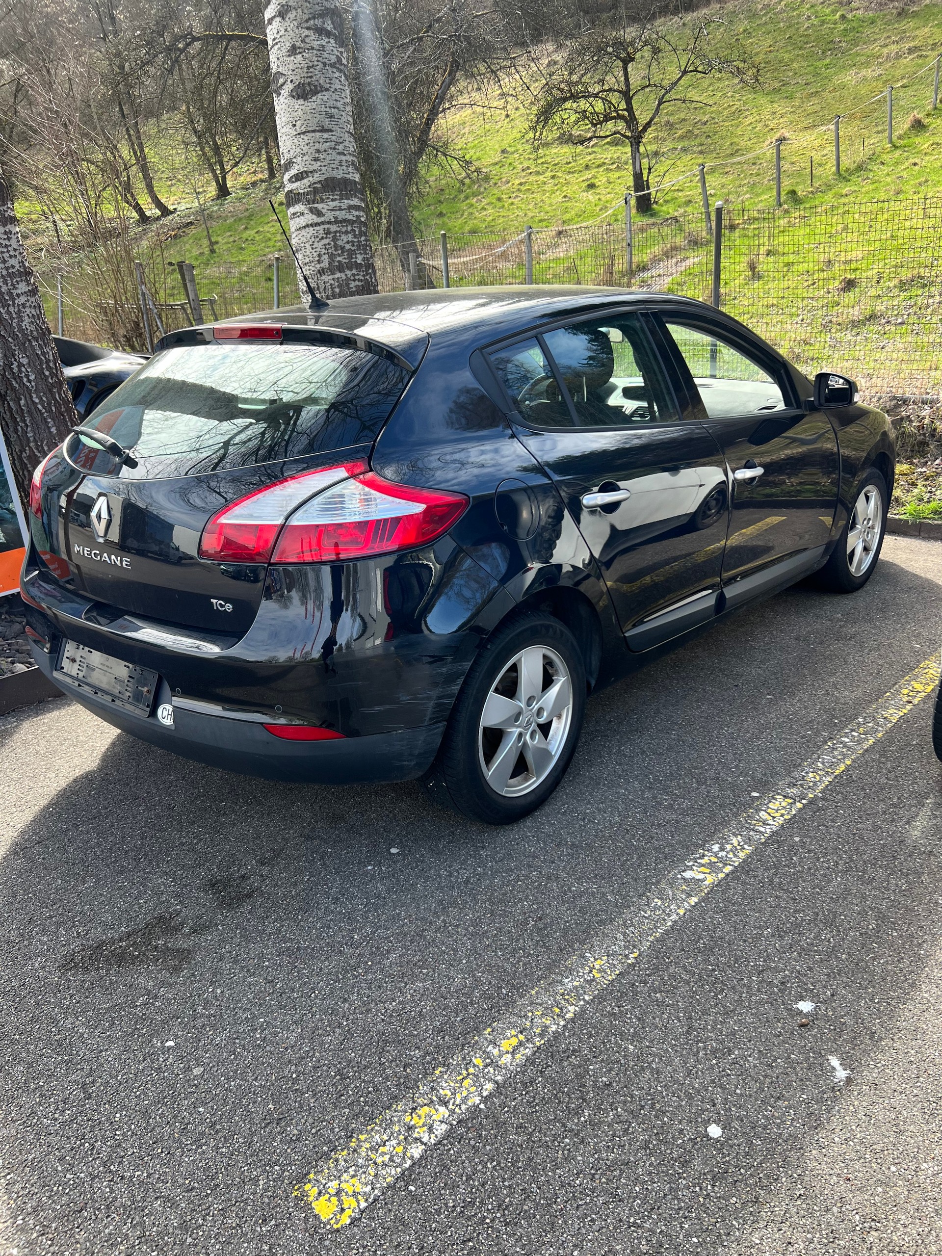 RENAULT Mégane 1.4 16V Turbo Privilège-image-1