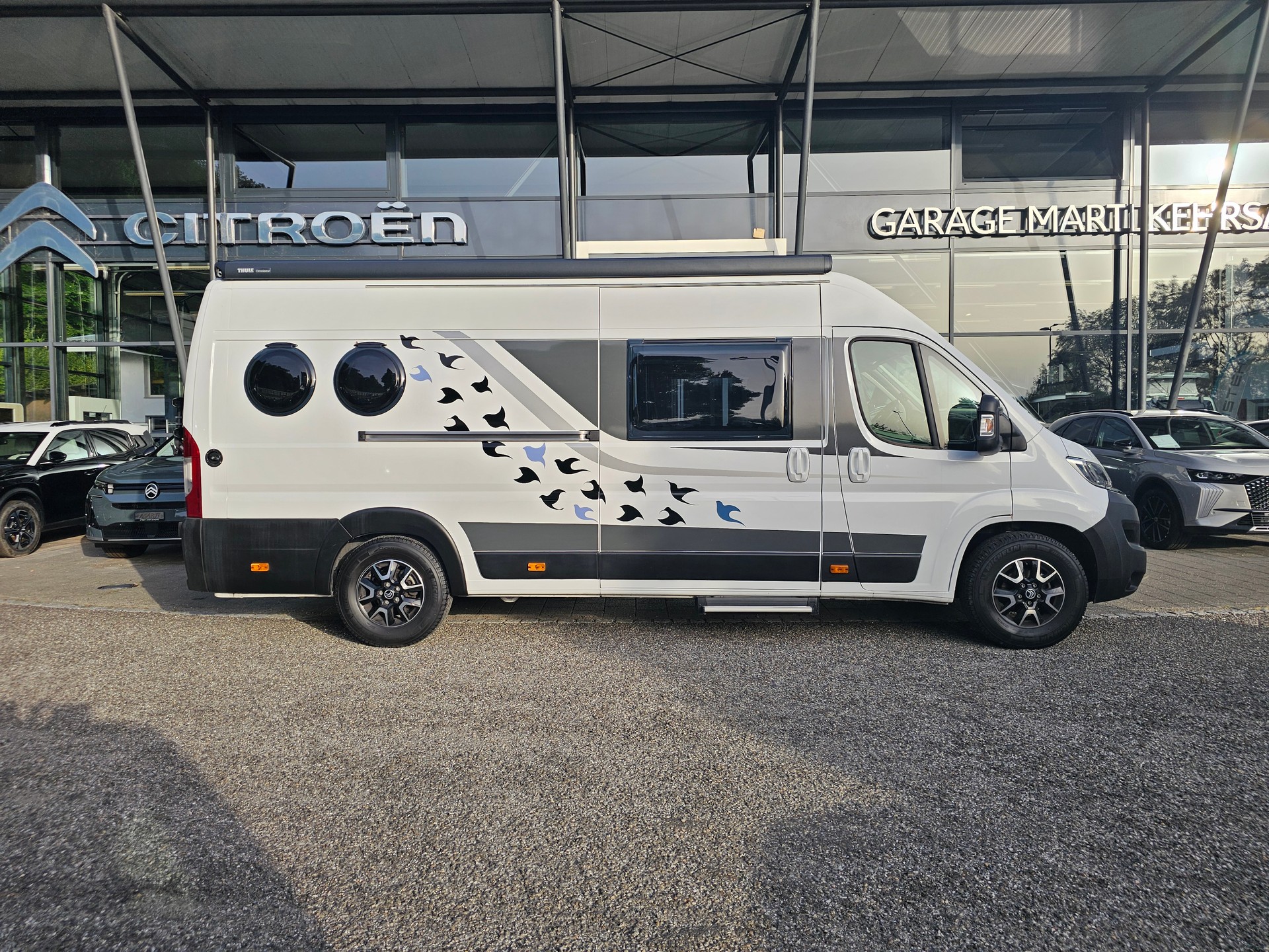 PÖSSL Trenta 640 - 165PS-image-1