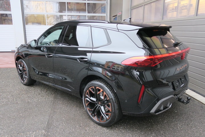 CUPRA Terramar 2.0 TSI DSG 4Drive VZ-image-4