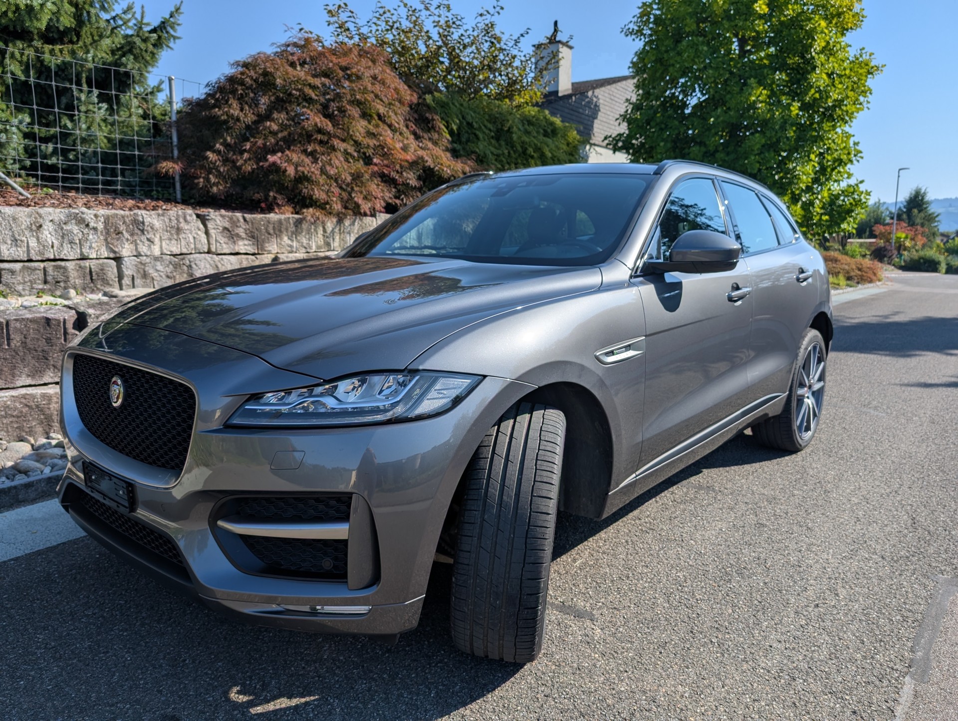 JAGUAR F-Pace 3.0 TD R-Sport AWD Automatik-image-1