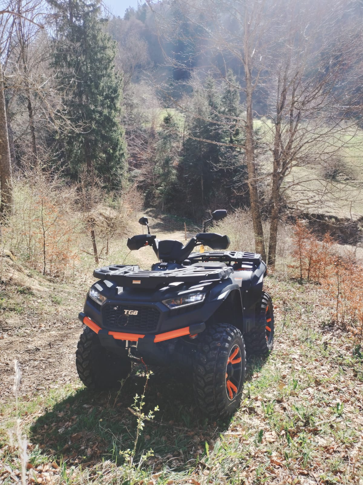 TGB Blade 600 FL SE EPS 4x4-image-0