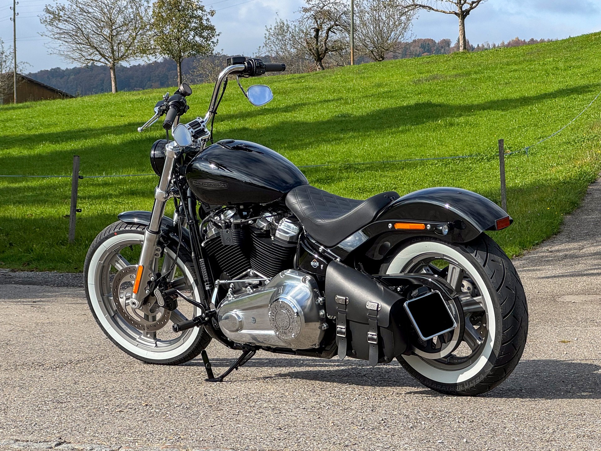 HARLEY-DAVIDSON FXST Softail Standard 107-image-1