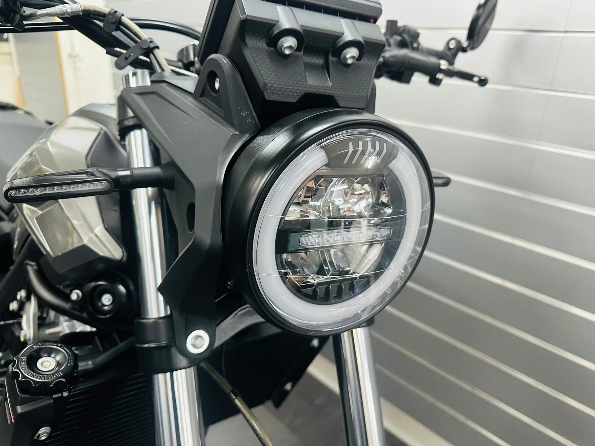BETA Alp X 350ccm-image-1