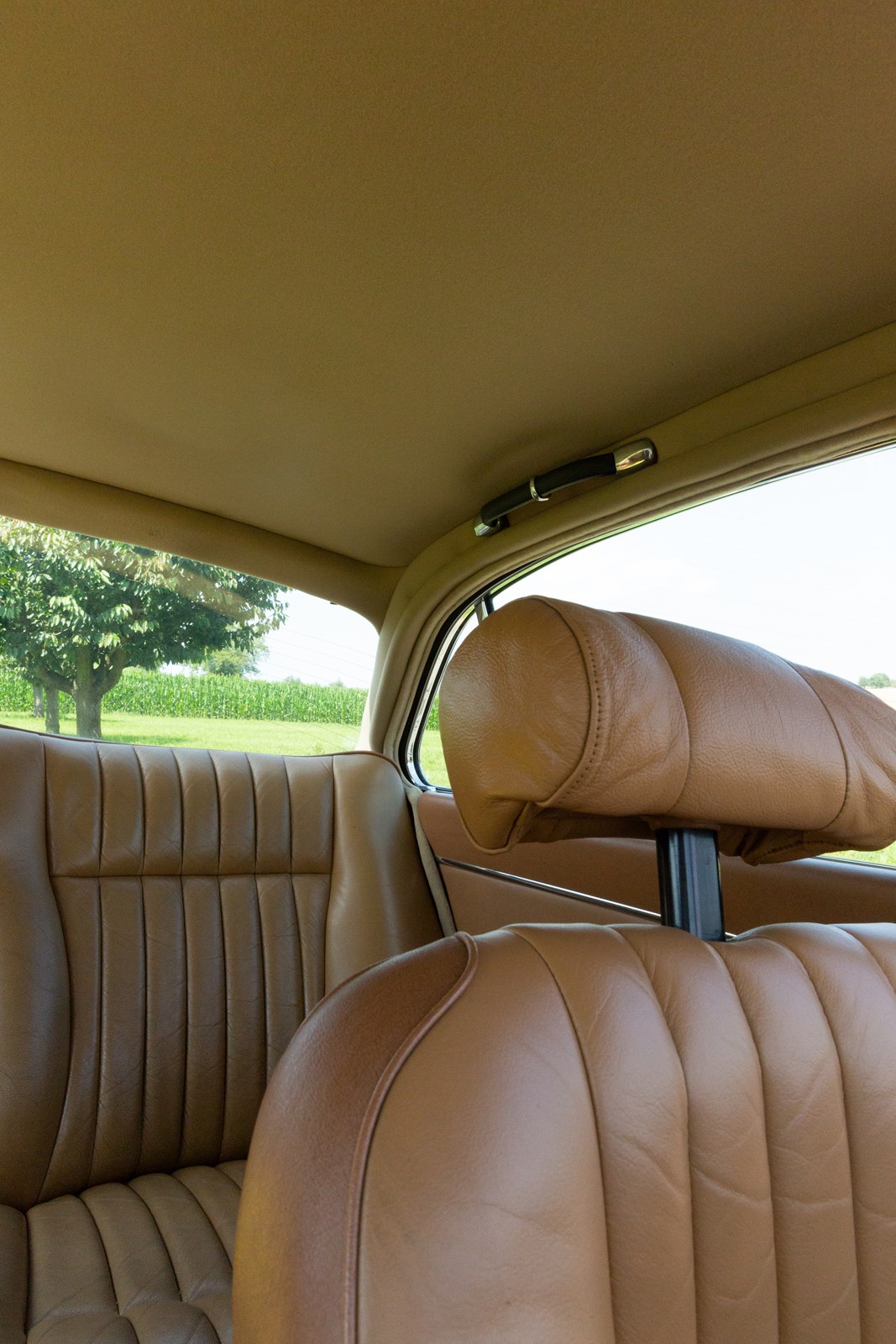 JAGUAR XJ 12 5.3L, Serie II-image-12