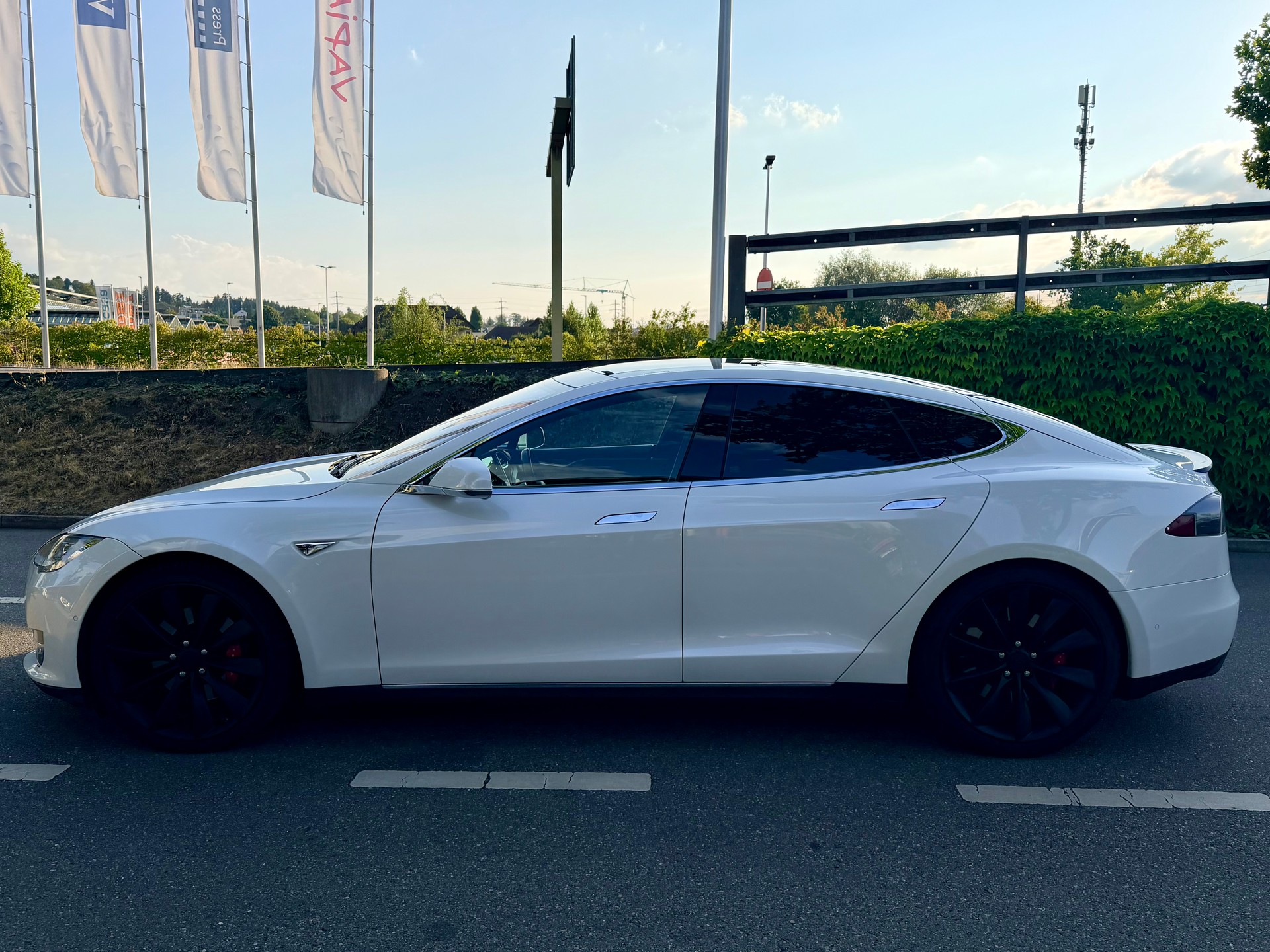 TESLA Model S 85 D Performance Free Supercharger-image-6