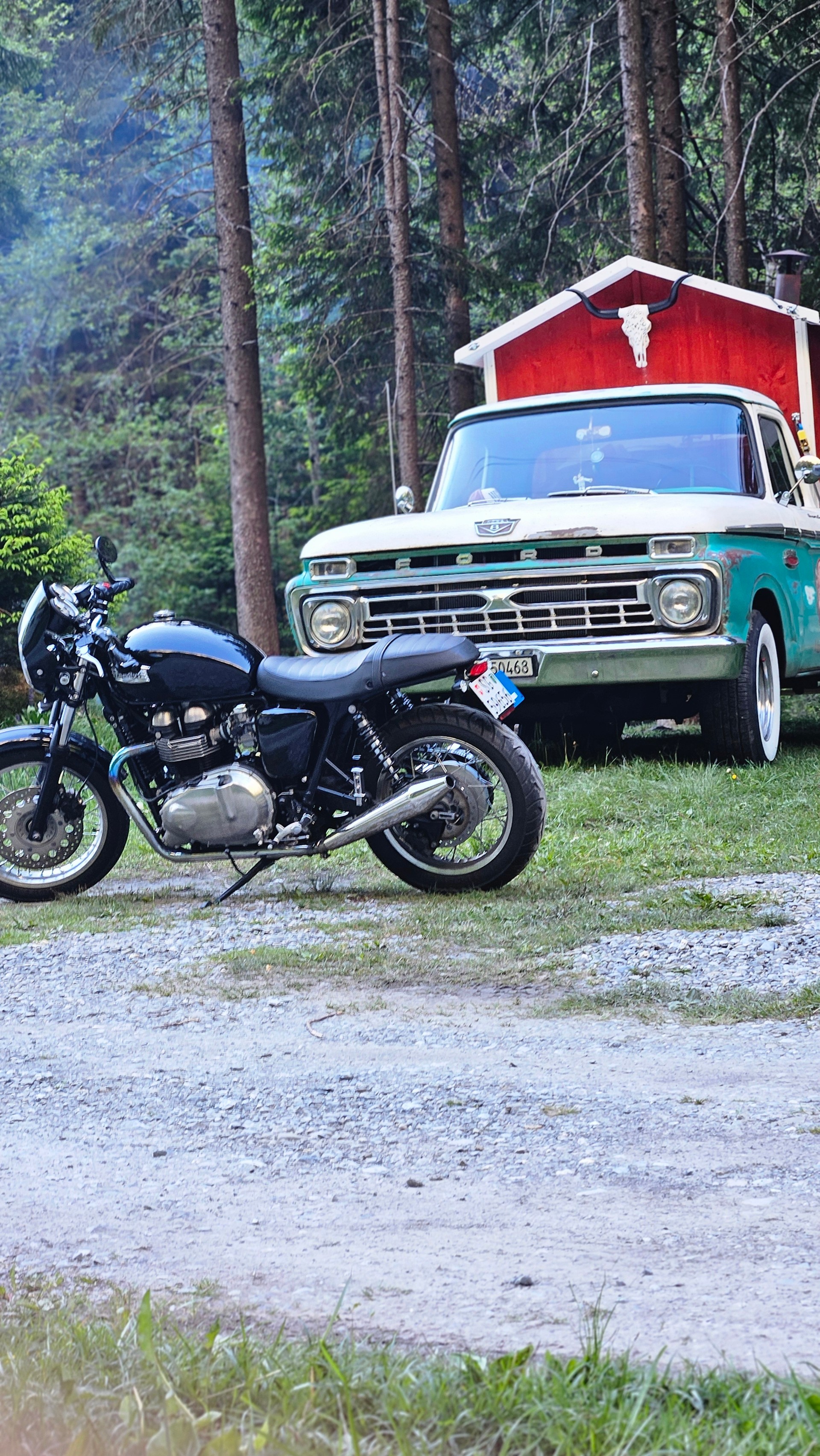 TRIUMPH Thruxton 900 i-image-7