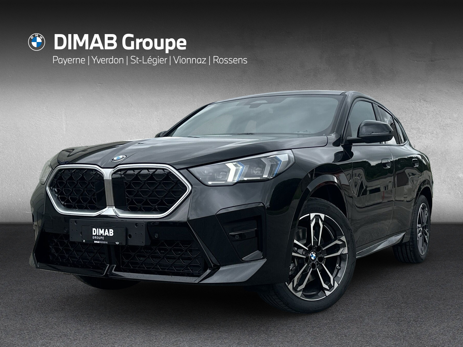 BMW X2 sDrive 20i 48V M Sport