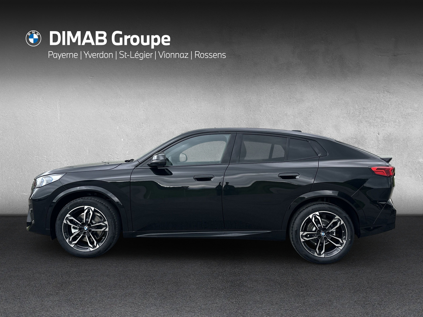 BMW X2 sDrive 20i 48V M Sport-showroom-element-1