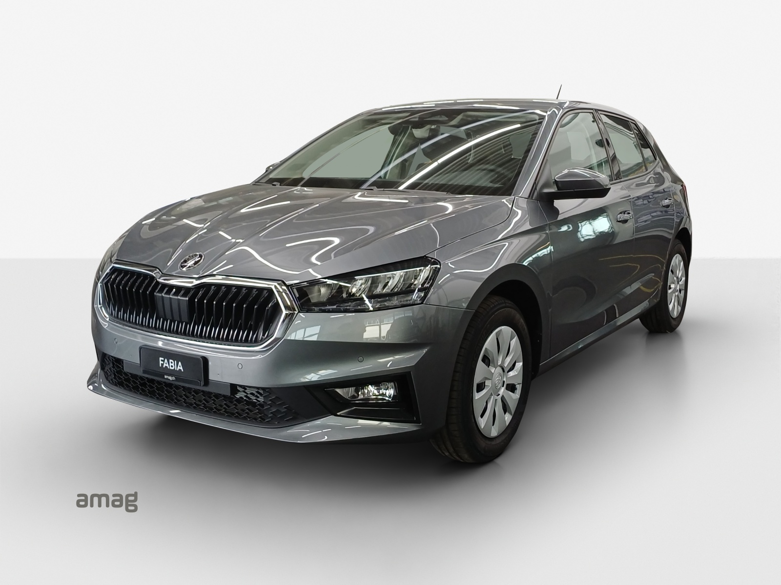 SKODA Fabia 1.0 TSI Selection