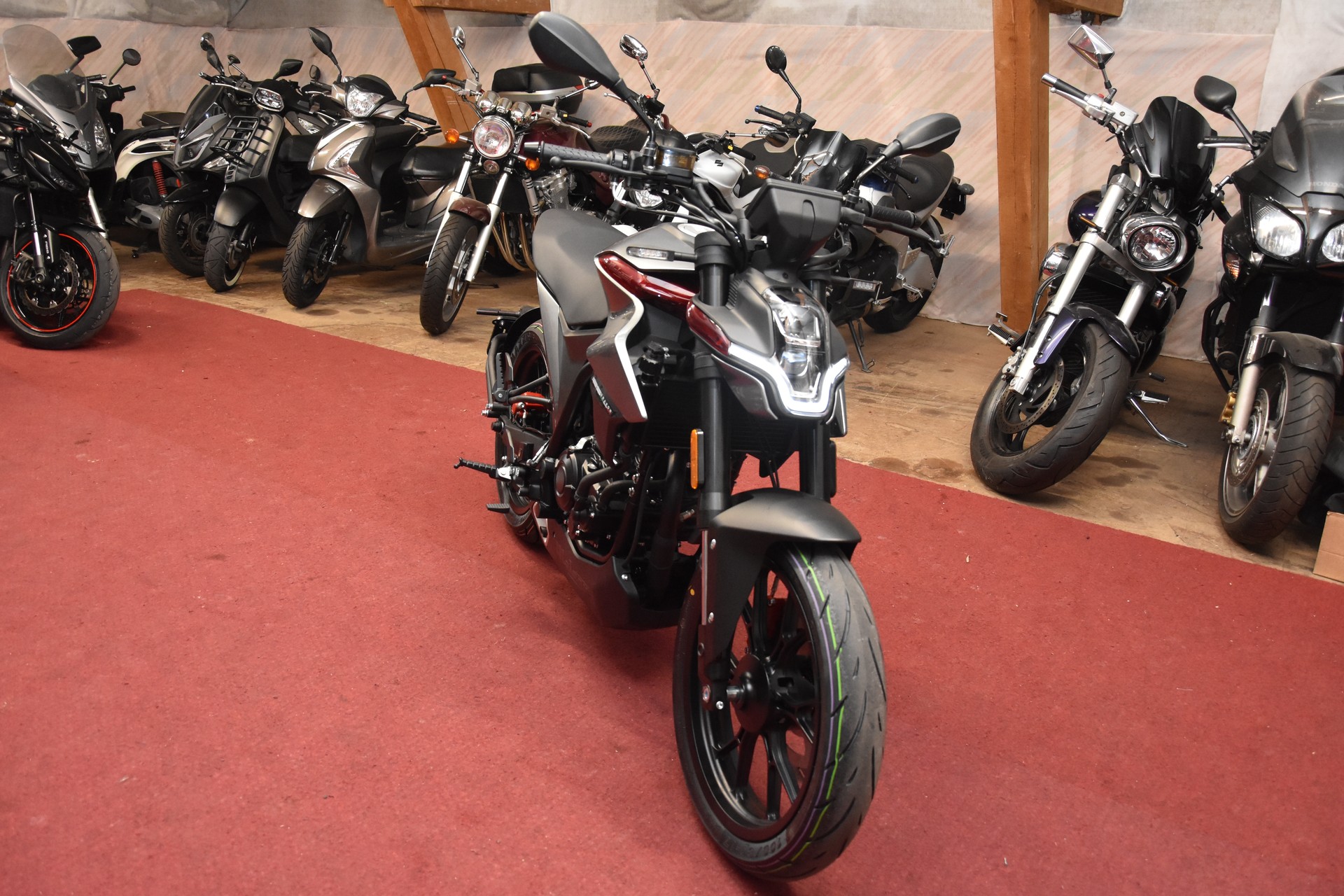MALAGUTI Drakon 125 ABS-image-5