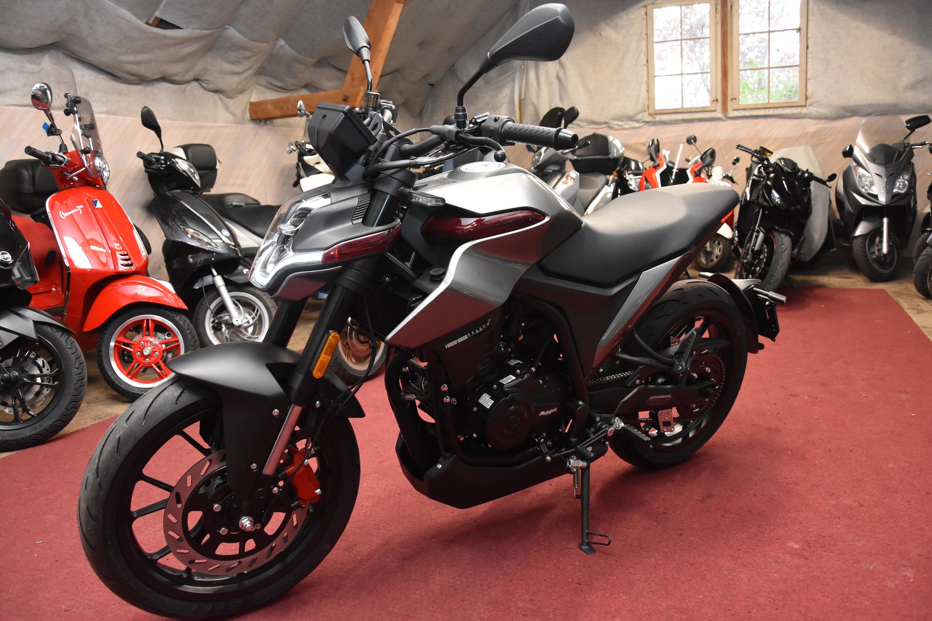 MALAGUTI Drakon 125 ABS-image-1