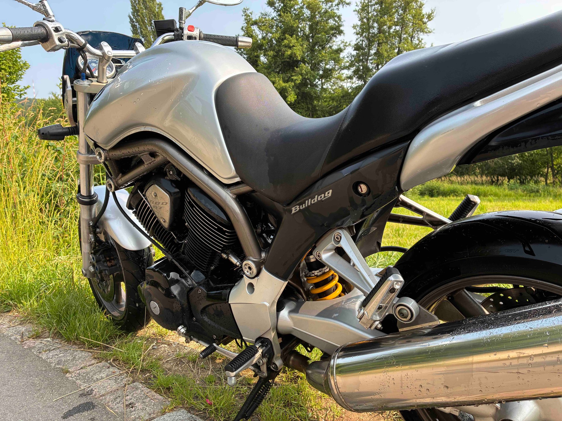 YAMAHA BT 1100 Bulldog-image-3