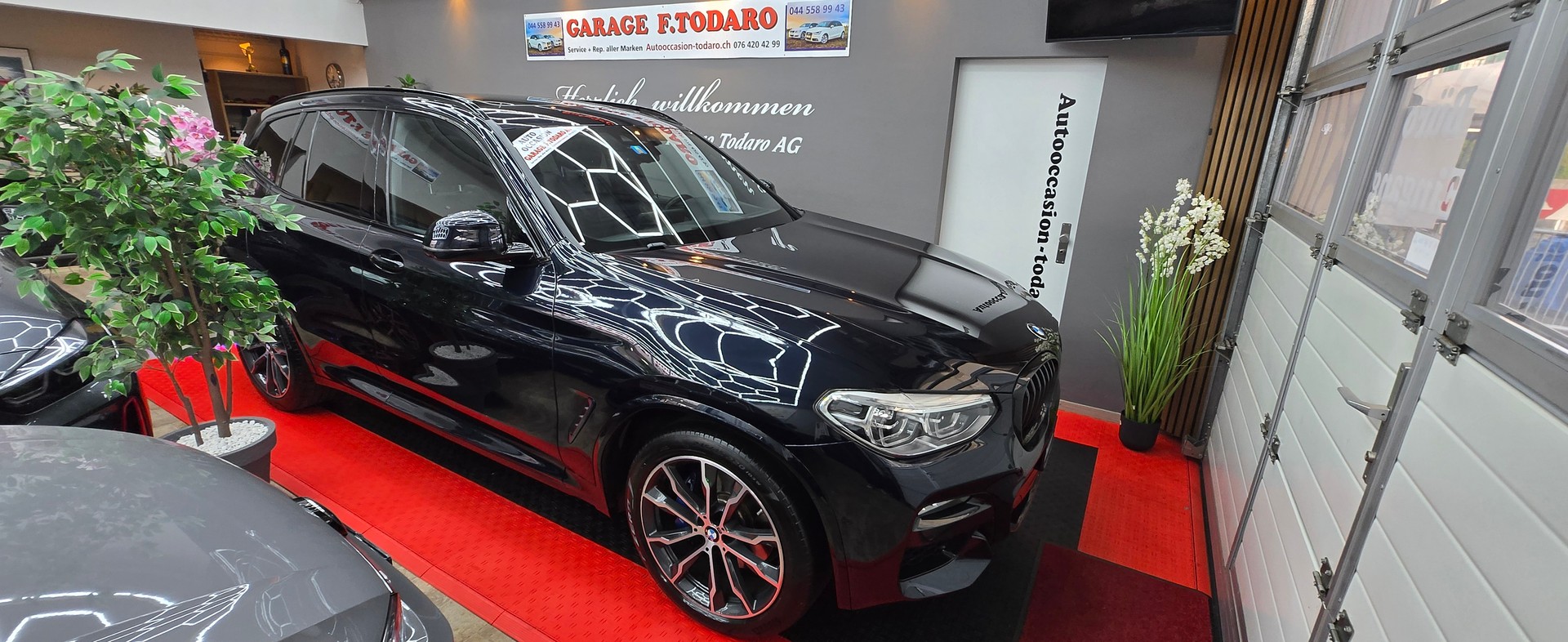 BMW X3 xDrive 20d Individual M Sport Steptronic