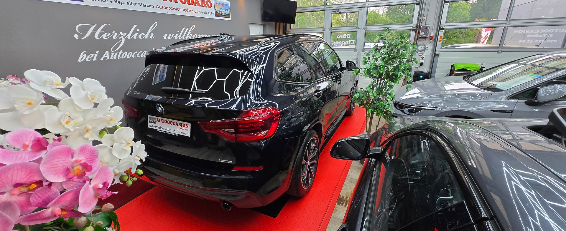 BMW X3 xDrive 20d Individual M Sport Steptronic-showroom-element-3