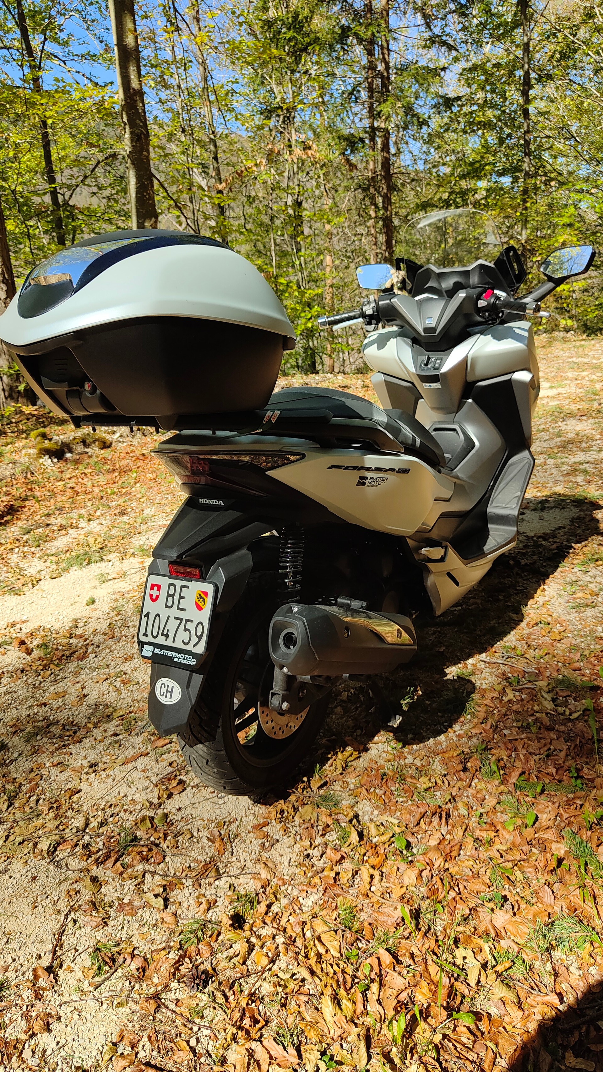 HONDA NSS 300 Forza ABS-image-4
