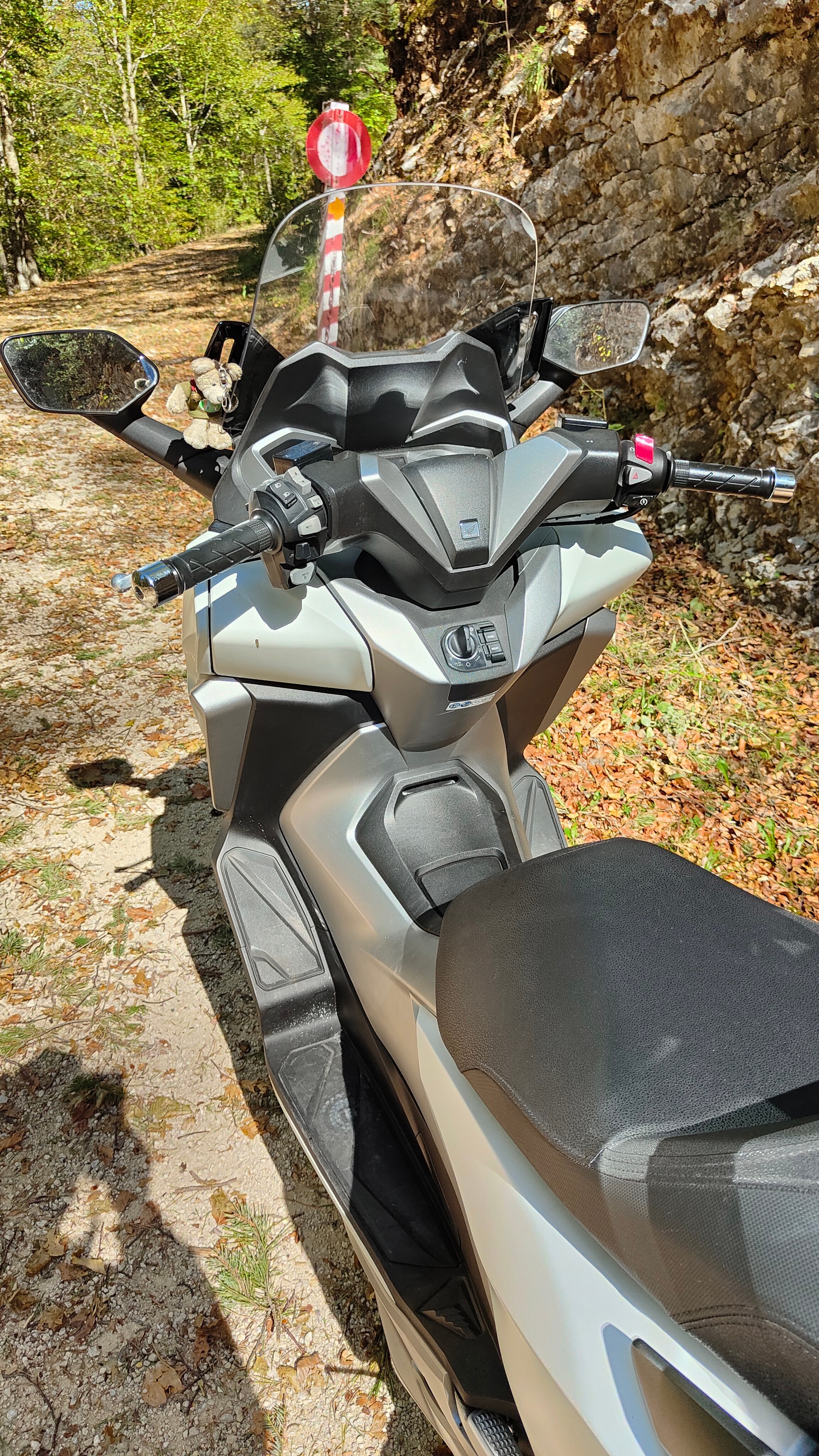 HONDA NSS 300 Forza ABS-image-3