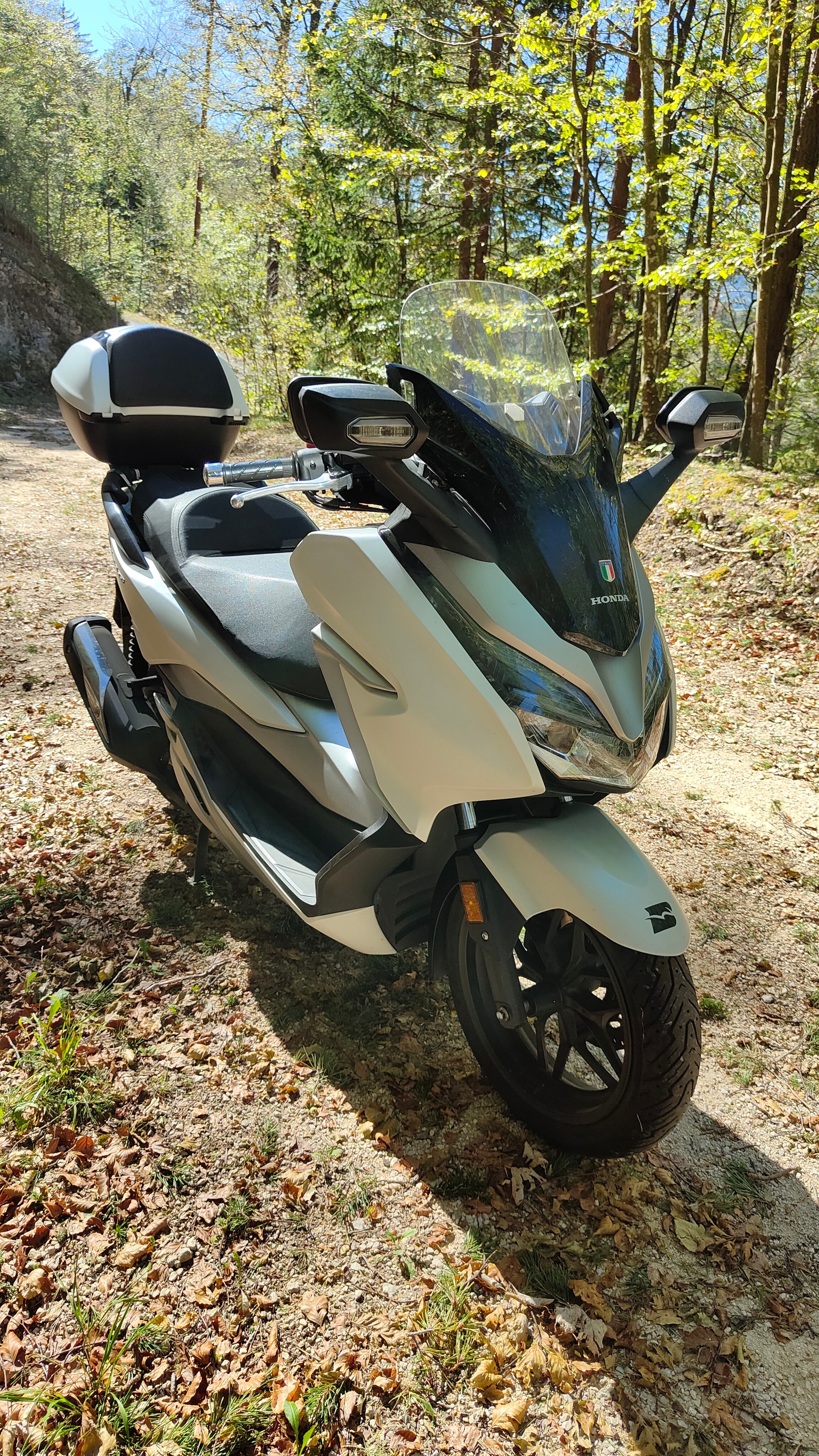 HONDA NSS 300 Forza ABS-image-1