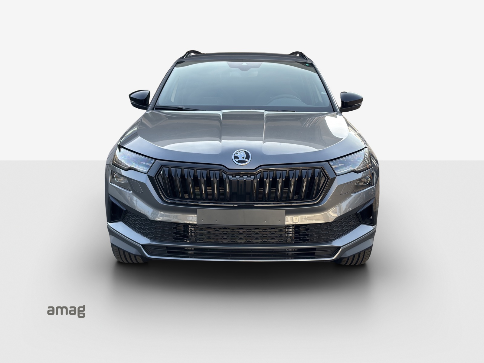 SKODA Karoq 2.0 TSI Dynamic Limited Edition 4x4 DSG-image-6