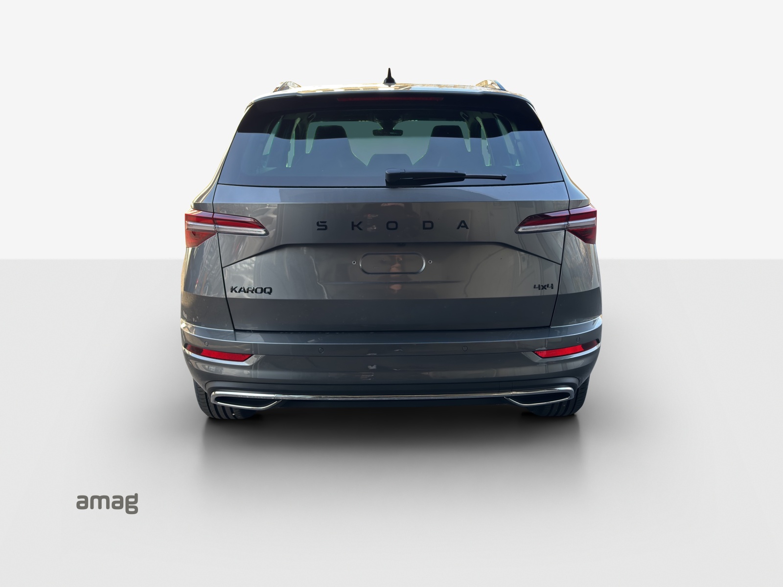 SKODA Karoq 2.0 TSI Dynamic Limited Edition 4x4 DSG-showroom-element-3