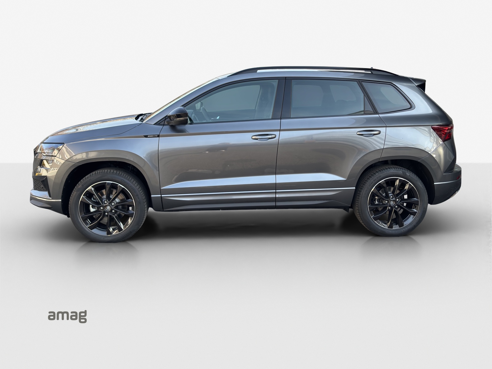 SKODA Karoq 2.0 TSI Dynamic Limited Edition 4x4 DSG-showroom-element-1